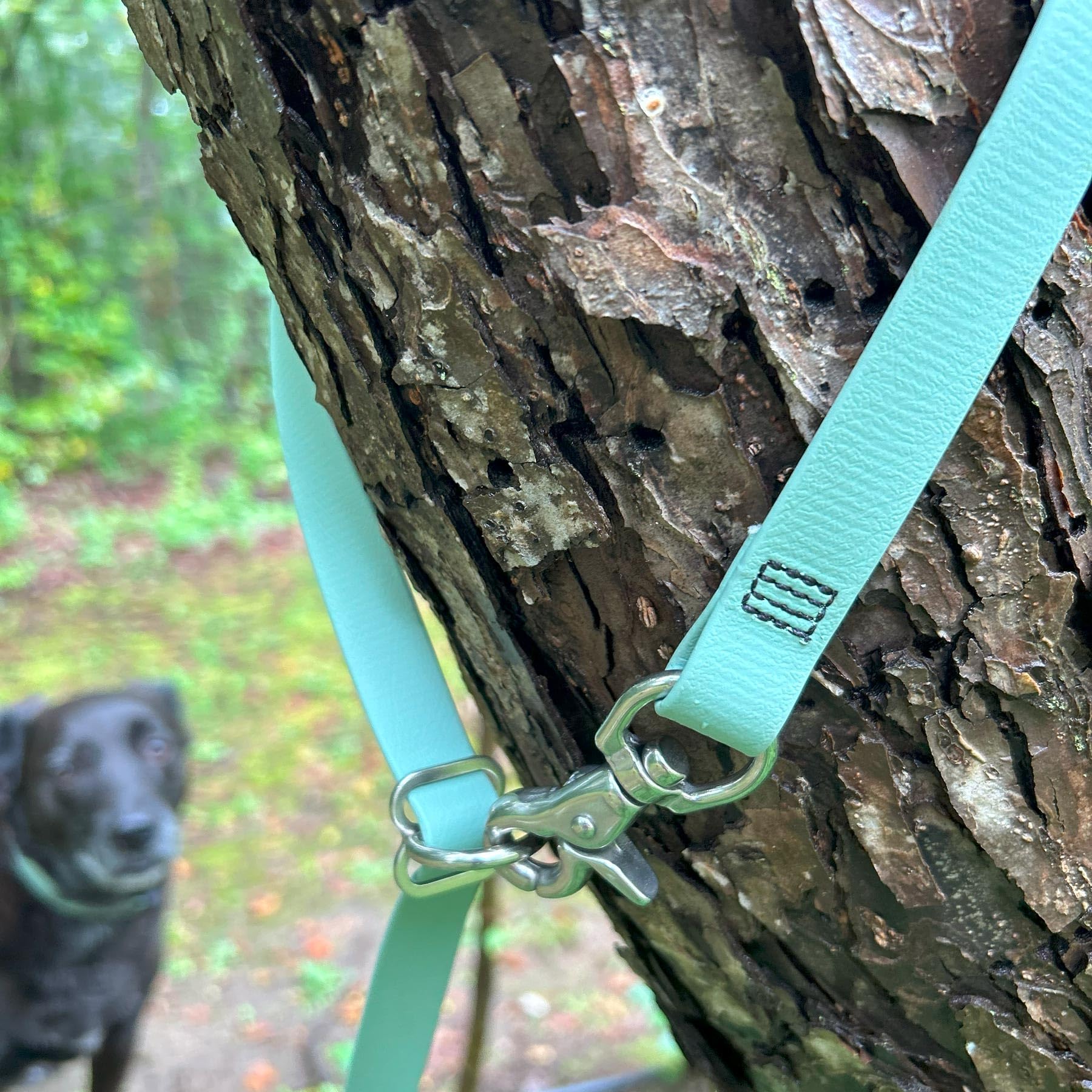 Packt - Dynamic Waterproof Hands-Free Dog Leash Large Dogs |Made In Usa, 100% Waterproof & Stronger Than Leather Dog Leash For M