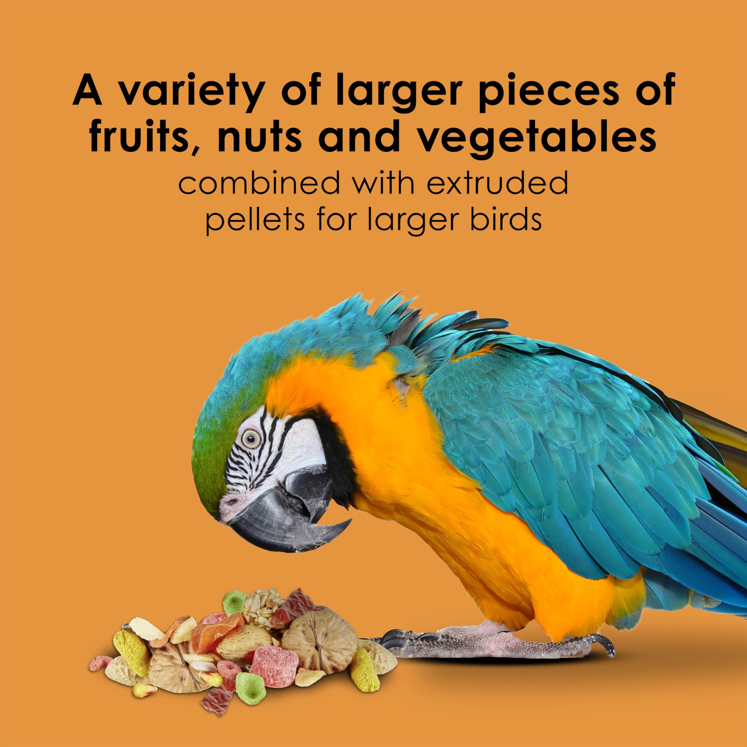 Kaytee Fiesta Big Bites Macaw Food, Nutritious and Fun Blend, Supports Skin, Feather, Digestion, Brain and Heart Health, 10 poun