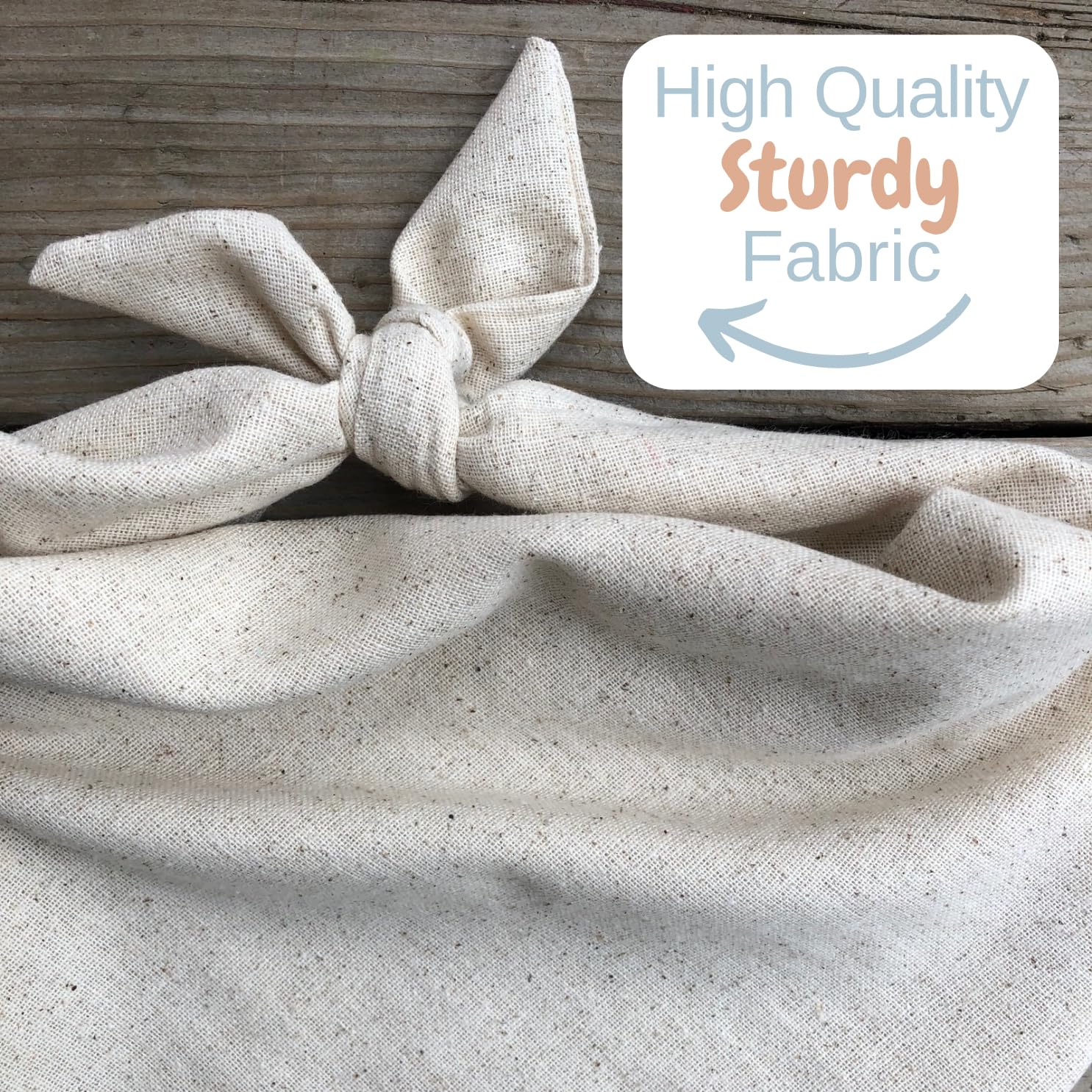 Dog Bandana Birthday Boy Barkday Pawty Attire Oatmeal Beige Boho Simple (Small)