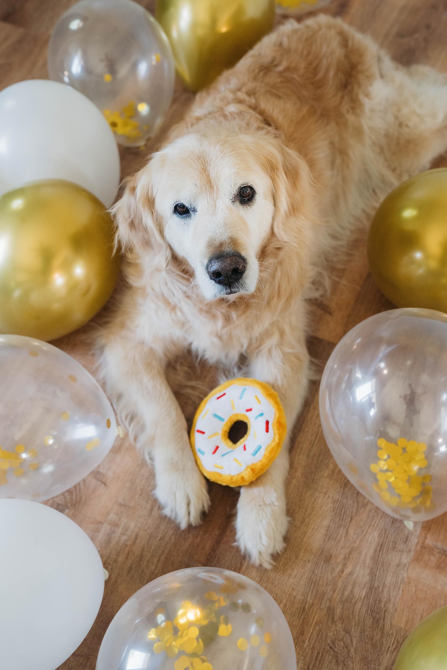 Zippypaws Birthday Gifts For Dogs - Birthday Donutz Plush Squeaky Toy With Polkadots & Sprinkles, Dog Birthday Party Supplies For Boys & Girls
