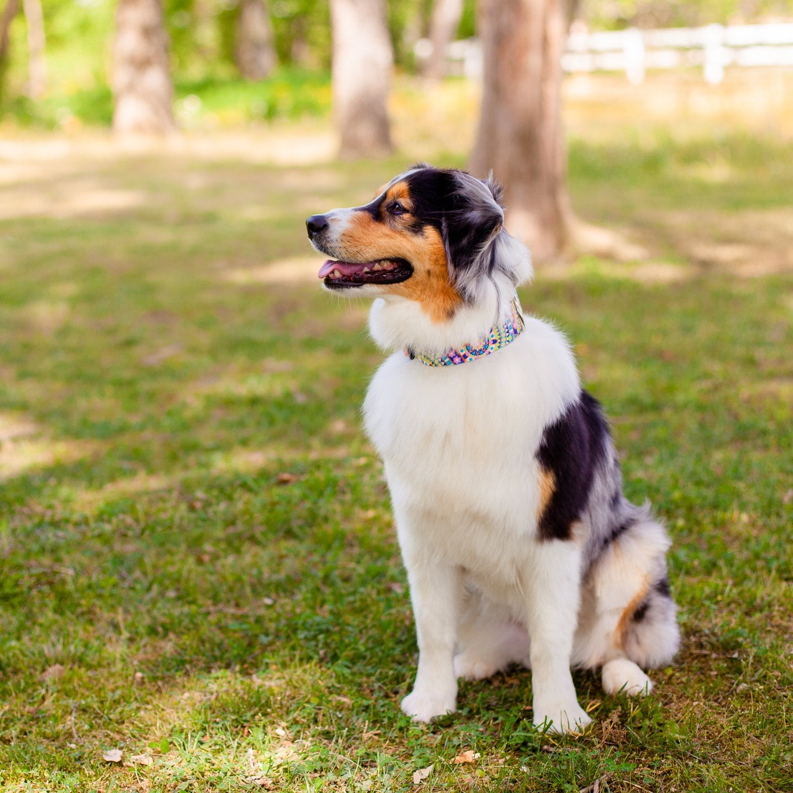 Country Brook Petz - Yellow Boho Mandala Martingale Dog Collar - Groovy Collection Featuring Far Out Designs (1/2 Inch, 2XS)