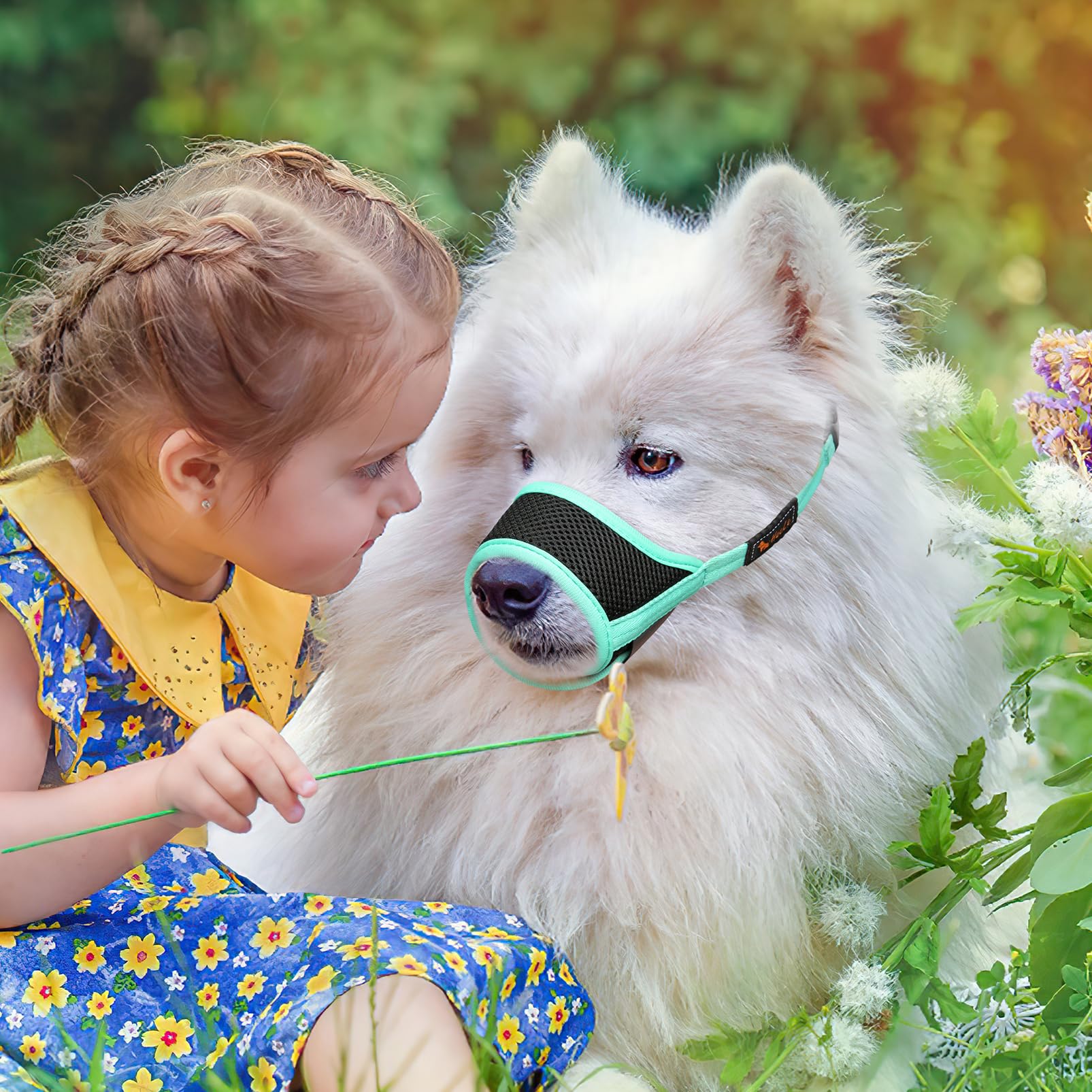 HEELE Dog Muzzle,Soft Nylon Muzzle Anti Biting Barking Chewing,Air Mesh Breathable Drinkable Adjustable Loop Pets Muzzle for Small Medium Large Dogs 4 Colors 4 Sizes (New Green, M) -Like New