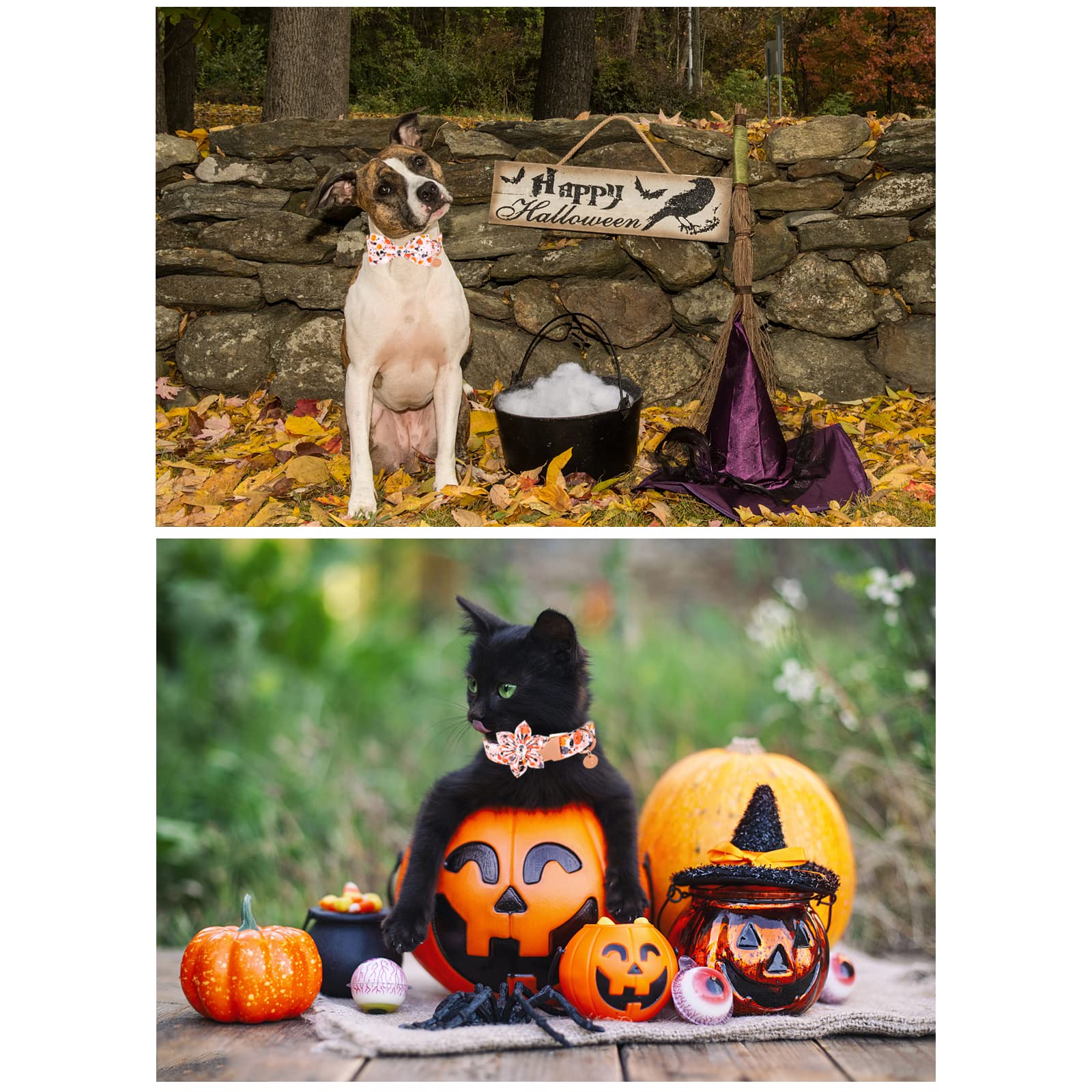 Up Urara Pup Halloween Dog Collar With Bow Tie, Pumpkin Cotton Bowtie Collar For Small Girl Dog, Female Halloween Bow Tie Collar With Durable Metal Buckle, Adorable Pet Collar, S, Neck 10-16In