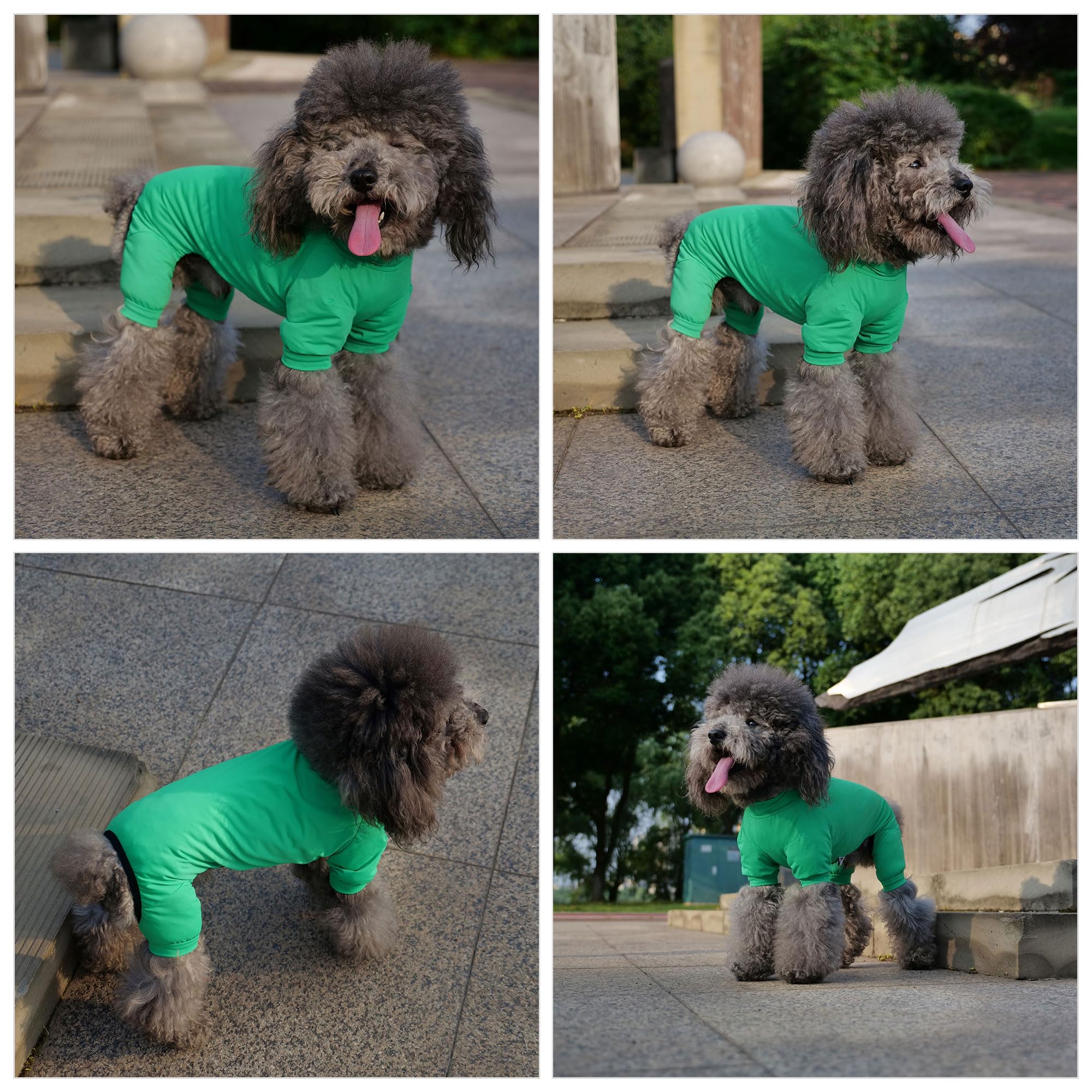 Lovelonglong Dog Jumpsuit With Uv Protection And Quick-Dry Fabric For Spring Summer Pet Pajamas Leaf Green L
