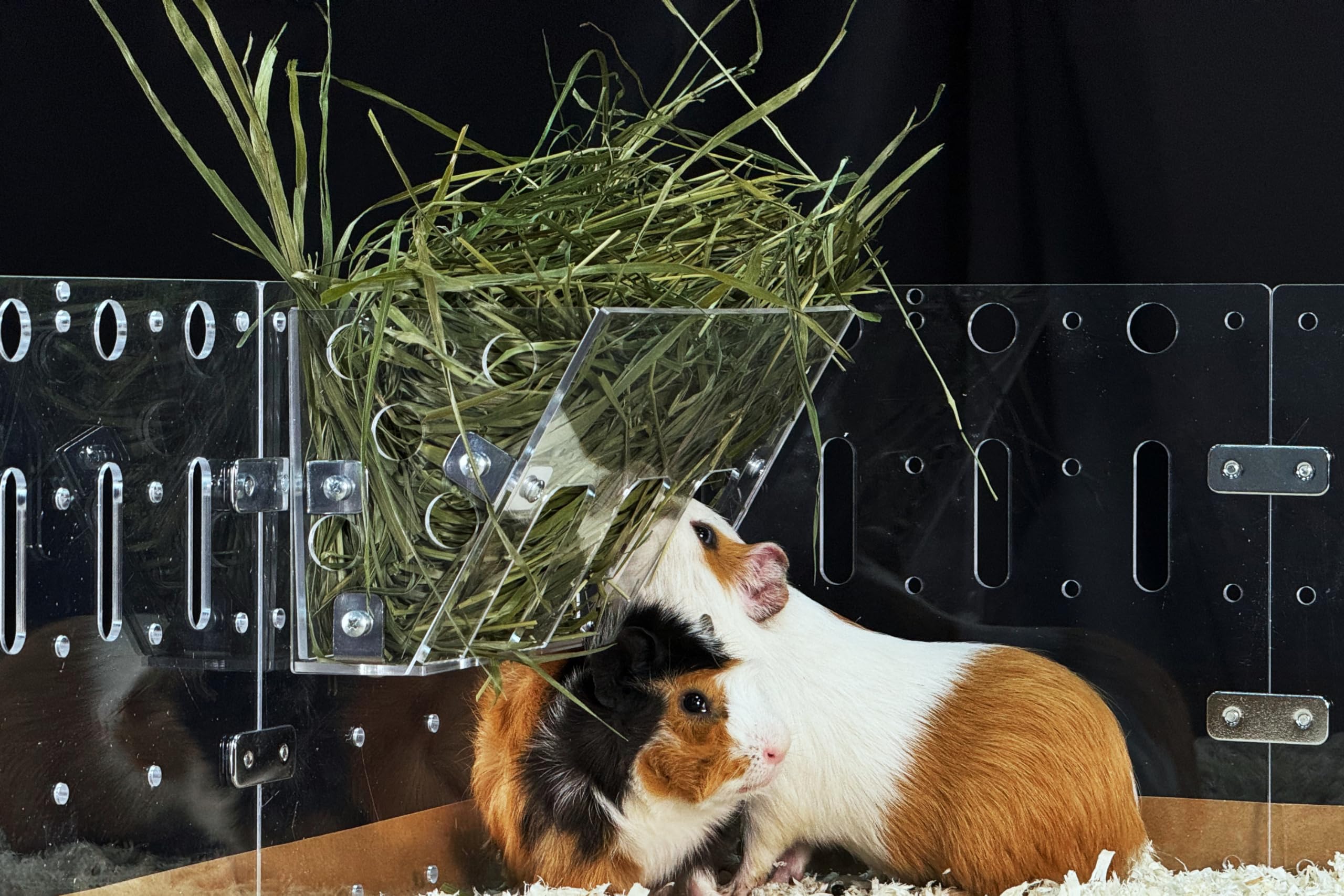 GuineaLoft Hay Feeder - The Ultimate Hay Feeder for Small Pets Like Guinea Pigs, Rabbits and Chinchillas. Designed & Made by Sea