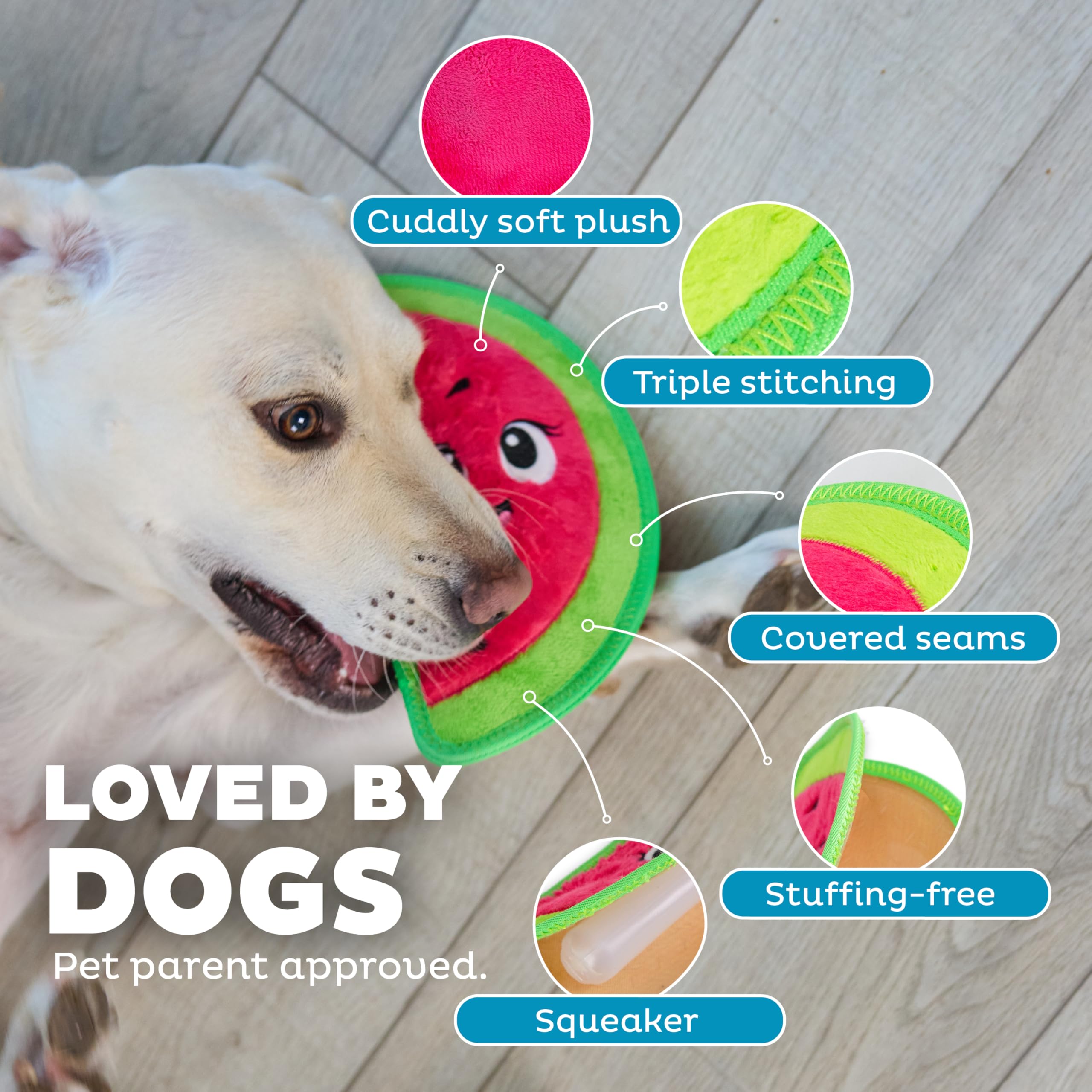 Outward Hound Tough Skinz Durable Squeaky Dog Toy with Two Tough Layers, Watermelon, Red, Medium