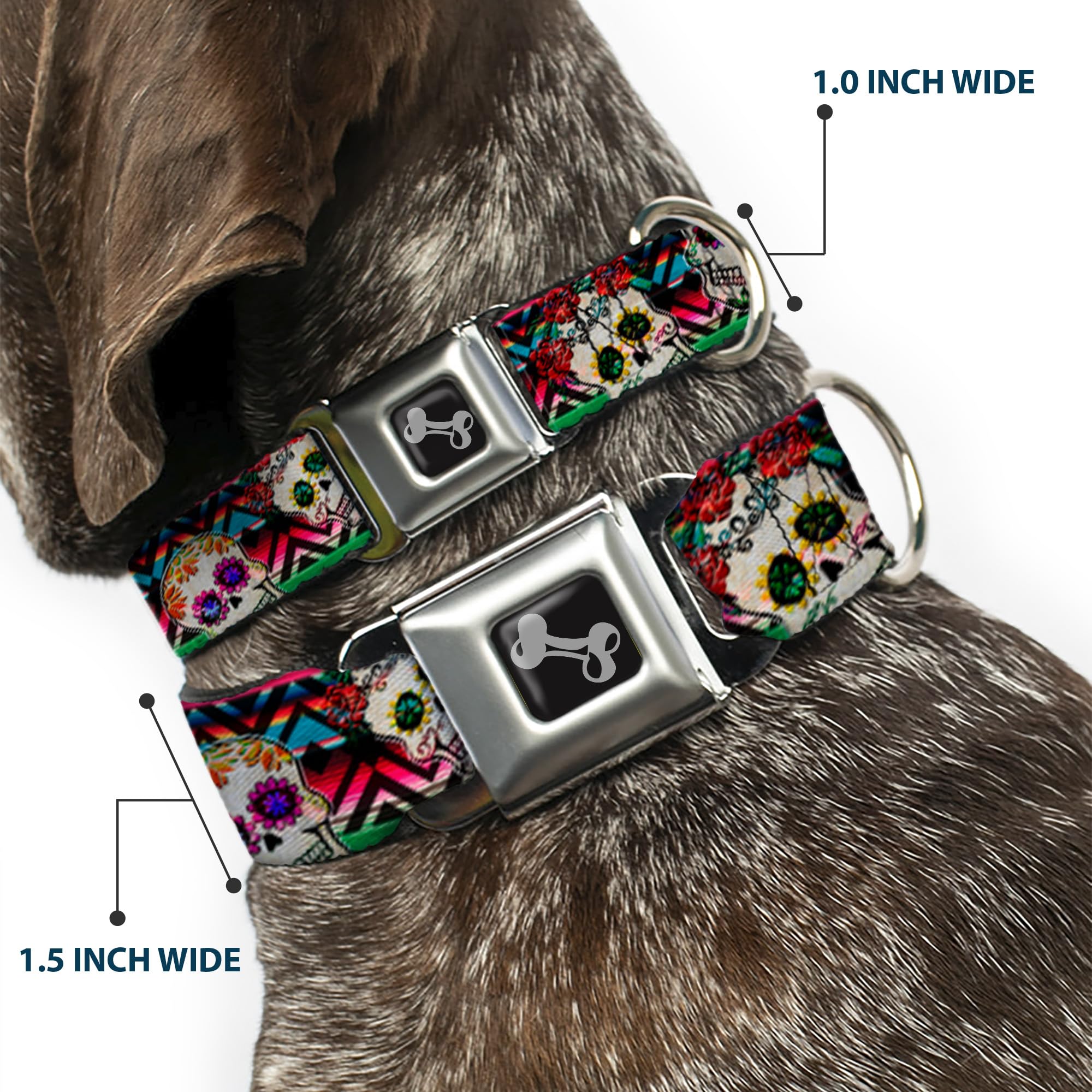Dog Collar Seatbelt Buckle Sugar Skulls Zarape Multi Color 13 To 18 Inches 1.5 Inch Wide