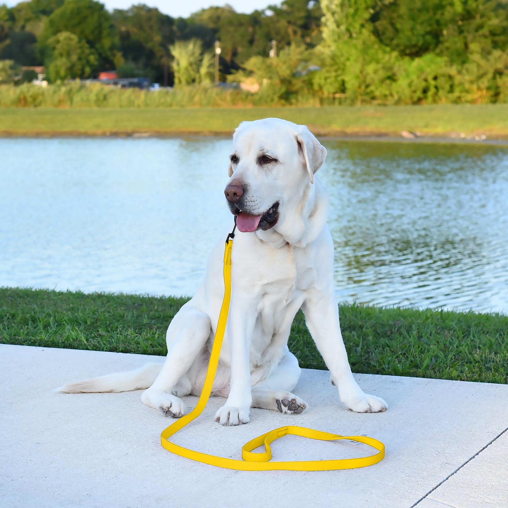 Dogline Biothane Waterproof 4ft Dog Leash Strong Coated Nylon Webbing with Black Hardware Odor-Proof Easy to Clean High Performa