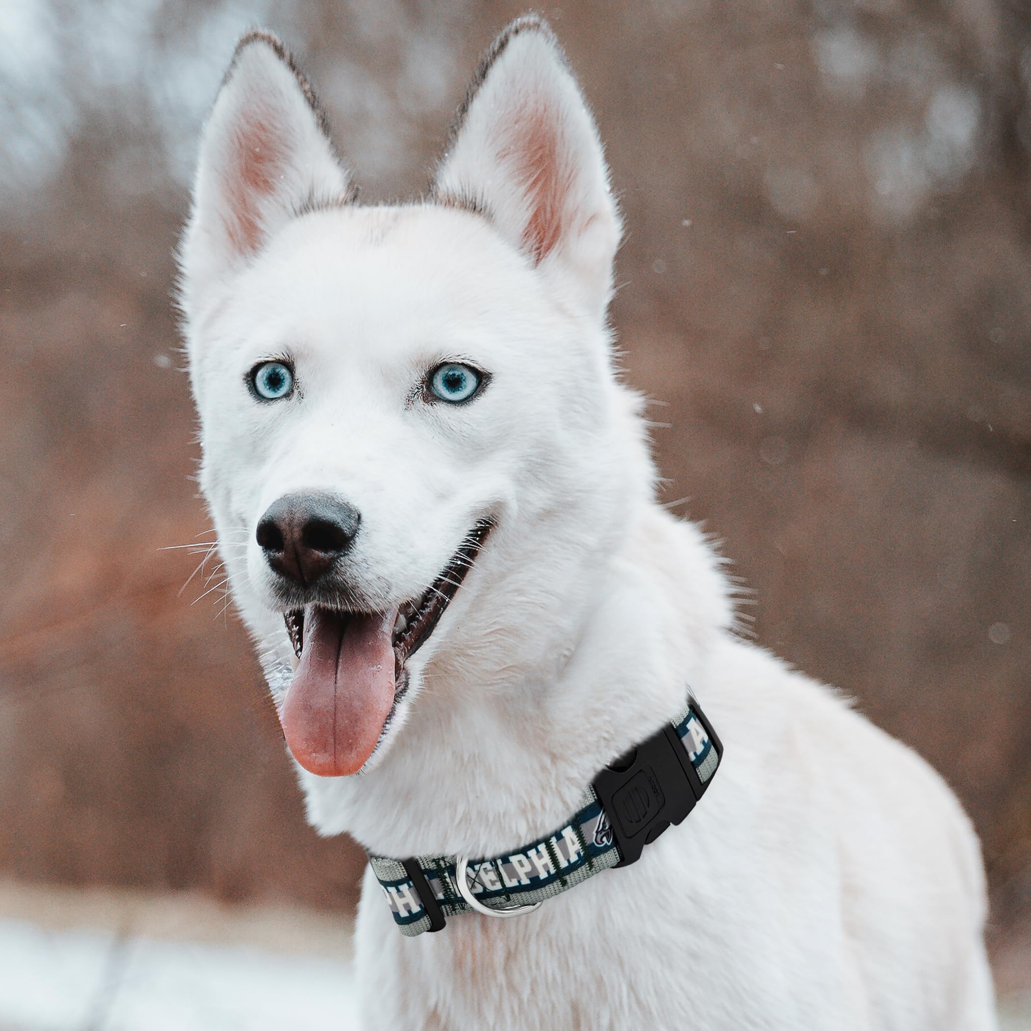 Pets First NFL Philadelphia Eagles Licensed PET COLLAR, Extra Large - Heavy-Duty, Strong, and Durable Dog Collar. Available in 3