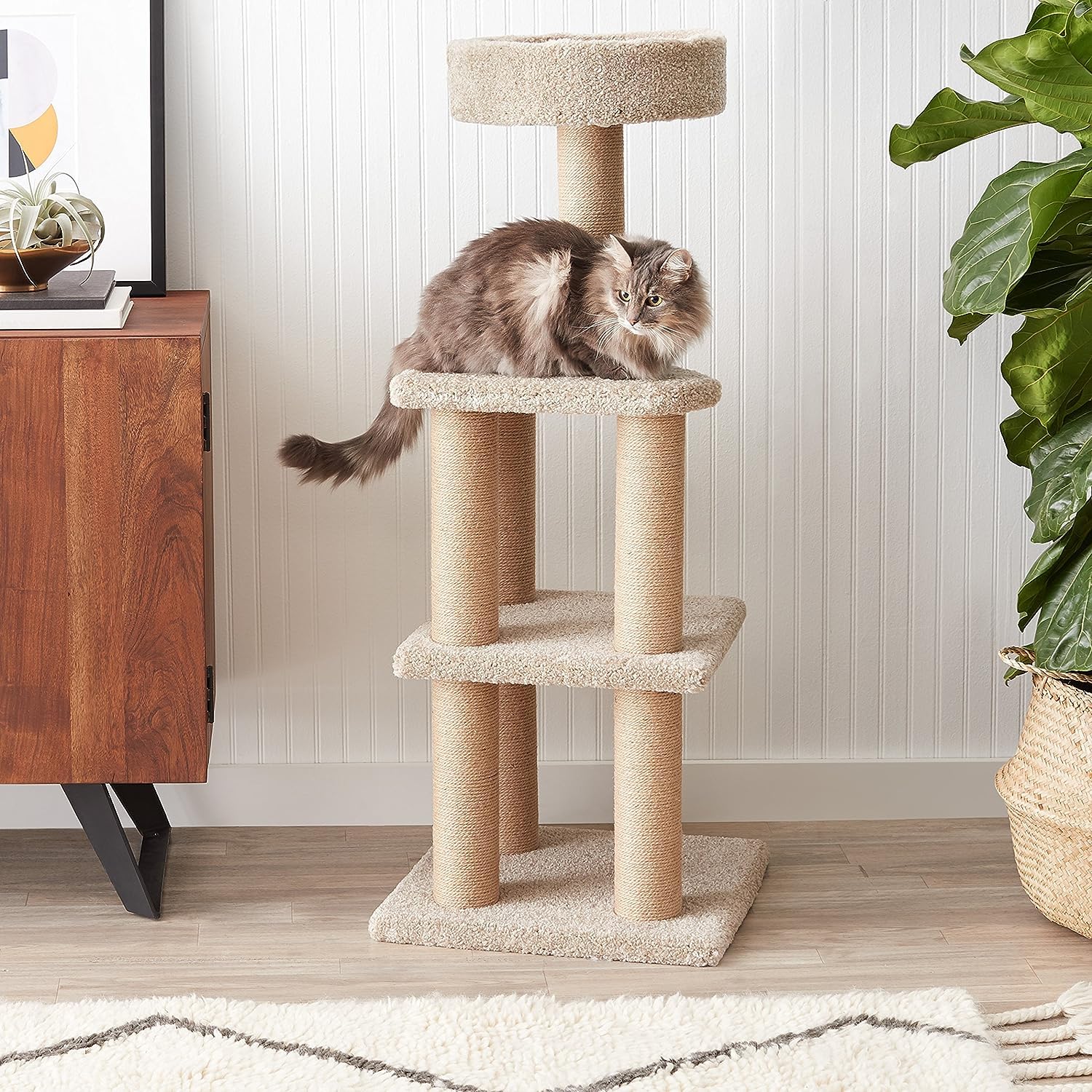 Amazon Basics Cat Tree - Indoor Cat & Kittens Multi-Level Climbing Activity Tower With Scratching Posts, Large (45.9''H) - Beige
