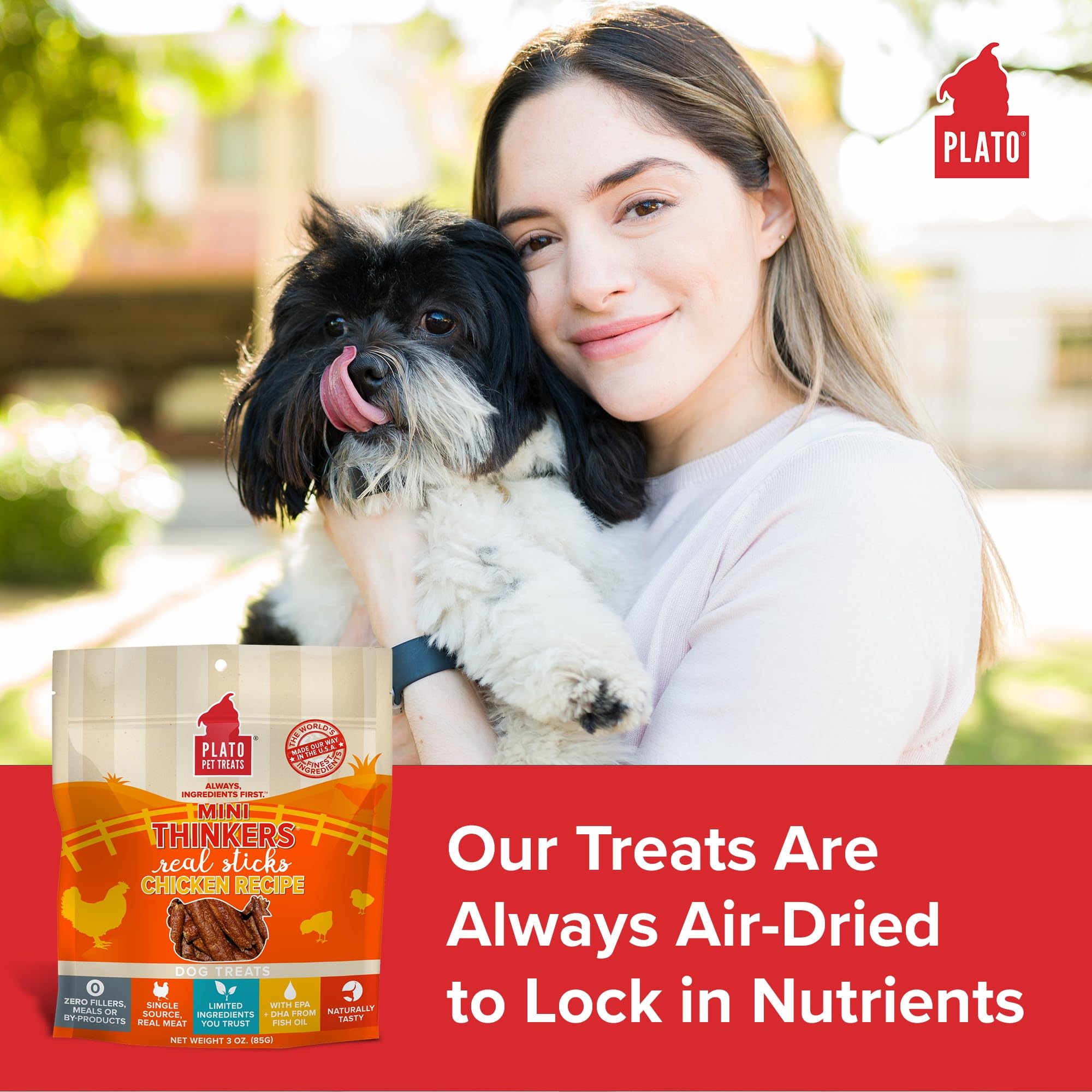 Plato Dog Mini Thinkers Chicken 3Oz