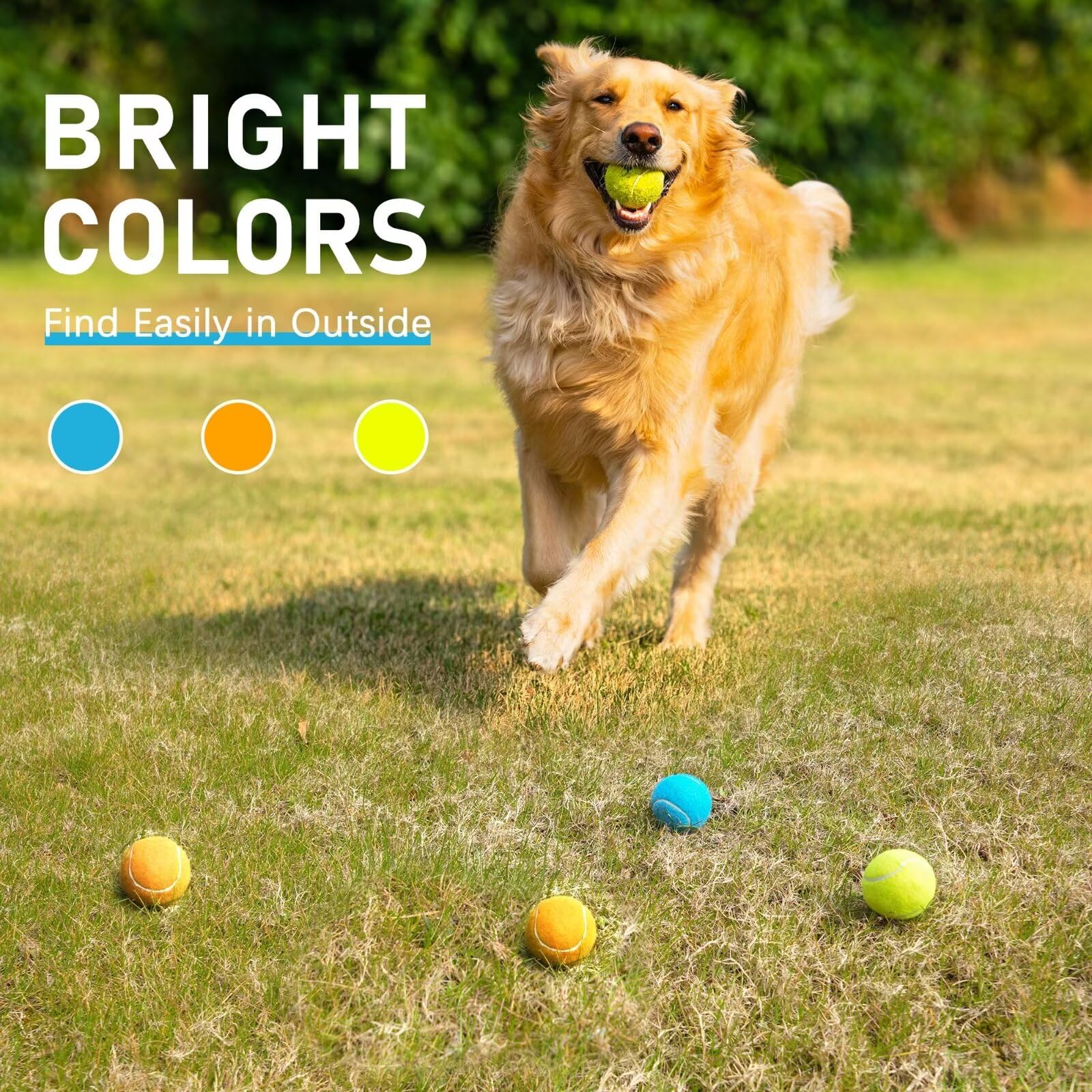 Primepets Squeaky Balls For Dogs, 2.5 Inch Dog Squeaky Toys, Interactive Dog Toy Tennis Balls For Indoor Outdoor, Squeak Toys Fo