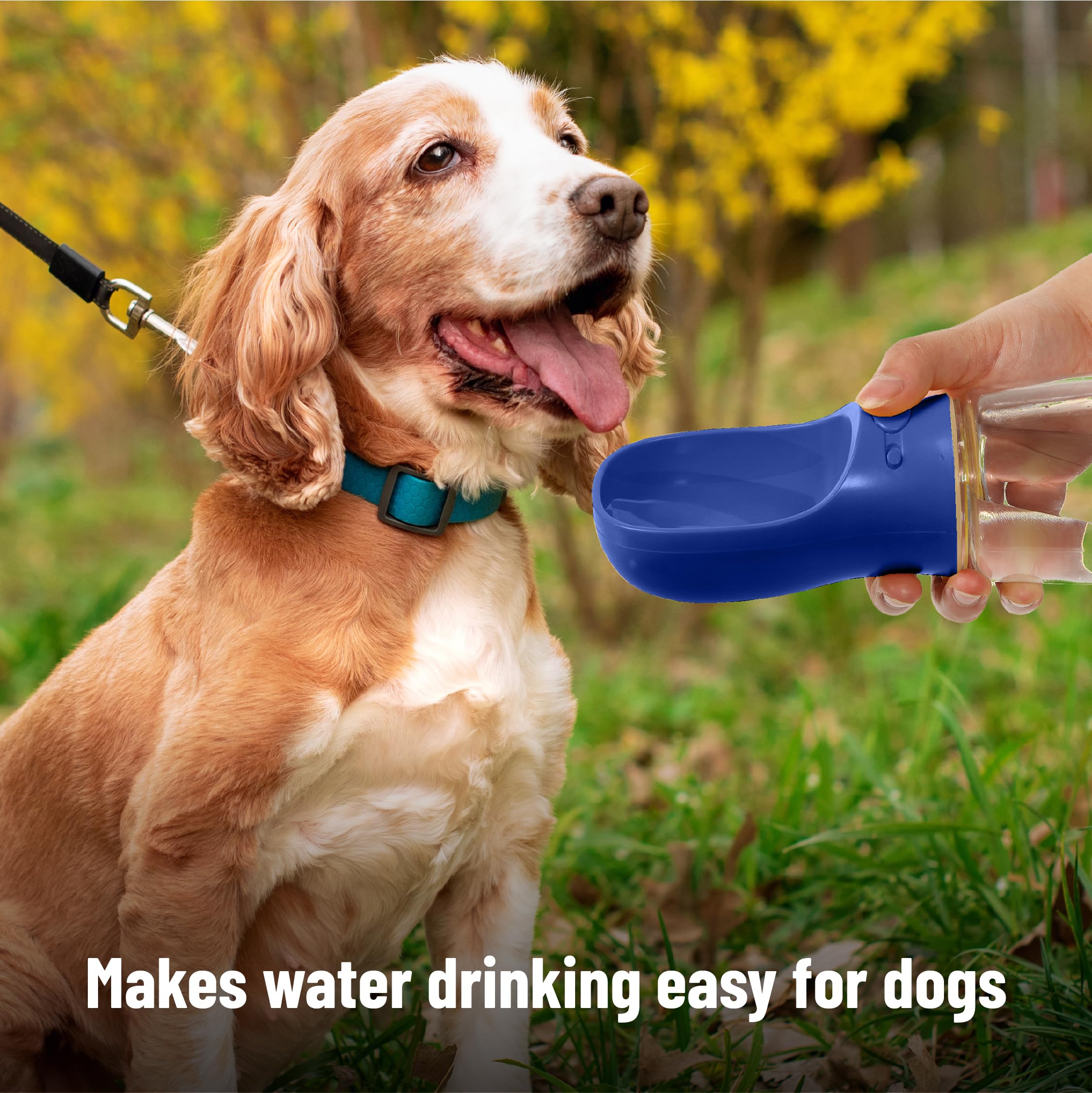 Mr. Pen- Dog Water Bottle, 19 oz, Large, Navy Blue, Portable Dog Water Bottle Dispenser, Dog Travel Water Bottle, Travel Dog Wat