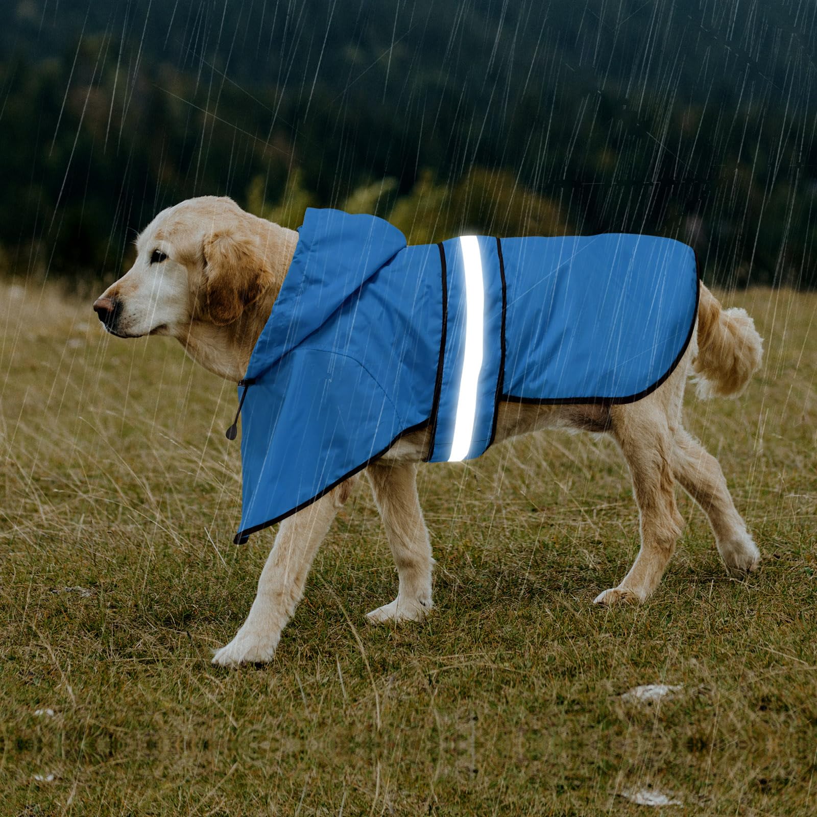 Domagiker Dog Raincoat - Waterproof Doggie Rain Jacket With Leash Hole, Lightweight Hooded Pet Poncho Slicker (Medium, Blue)