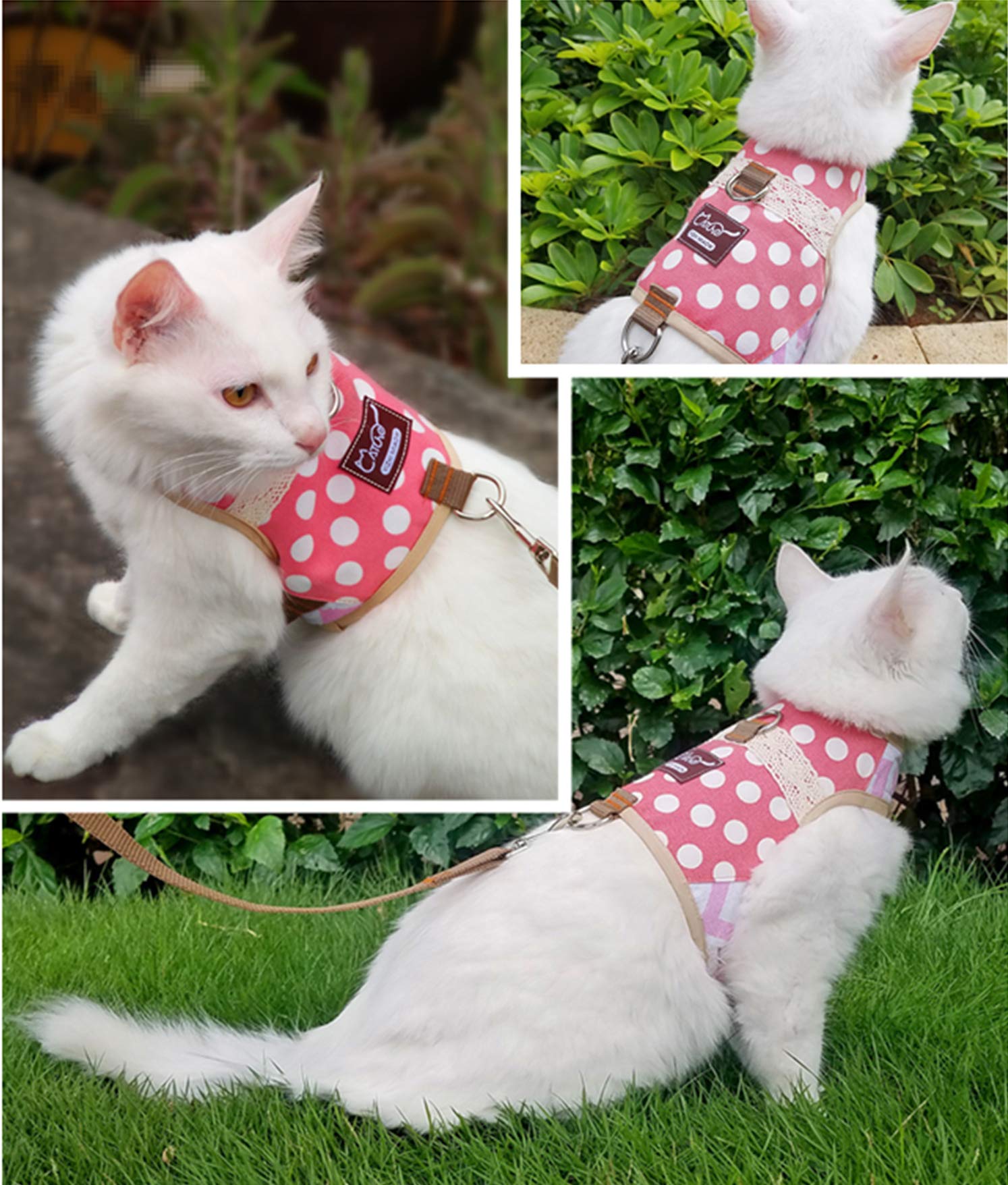 Yizhi Miaow Cat Harness And Leash For Walking Escape Proof, Adjustable Cat Vest Harness, Padded Stylish Cat Walking Jackets, Polka Dot Pink, Small