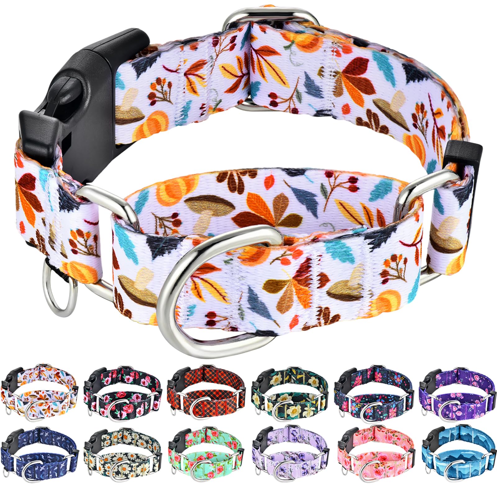 Fidohug Martingale Collar for Dogs Fall Dog Collars for Small Medium Large Dogs with Buckle Adjustable Soft Nylon Dog Collar (Mu