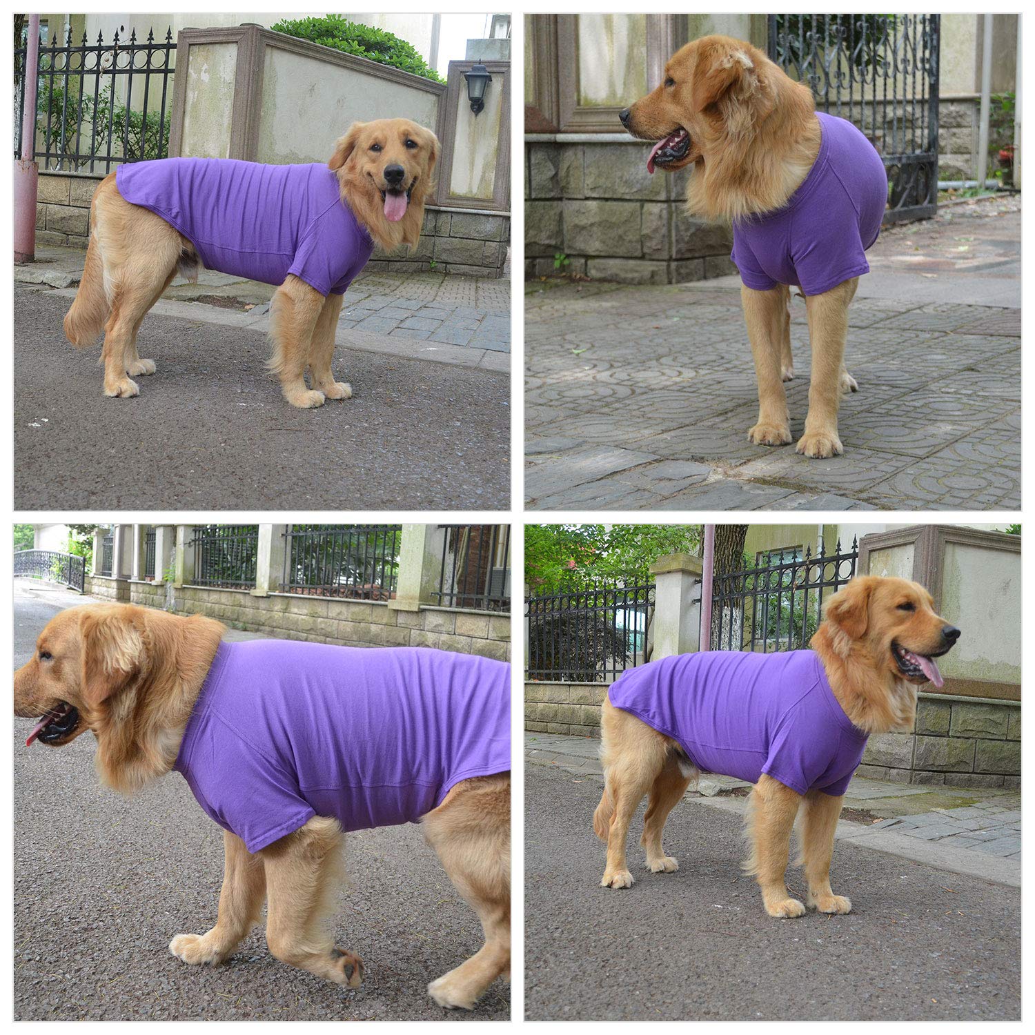 Lovelonglong 2019 Pet Clothing Dog Costumes Basic Blank T-Shirt Tee Shirts For Small Dogs Purple Xs