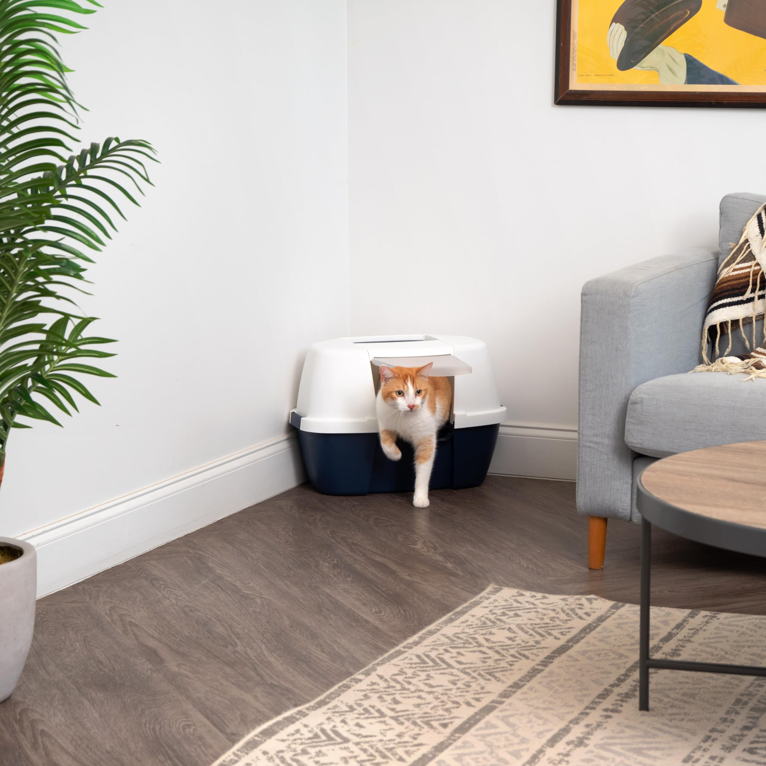 Iris Usa Corner Cat Litter Box Enclosed With Scoop - Privacy And Easy Access For Cleaning, Odor Defensive Hooded Litter Tray, Sturdy Stain Resisting Plastic, Fits In Most Corners, Navy/White