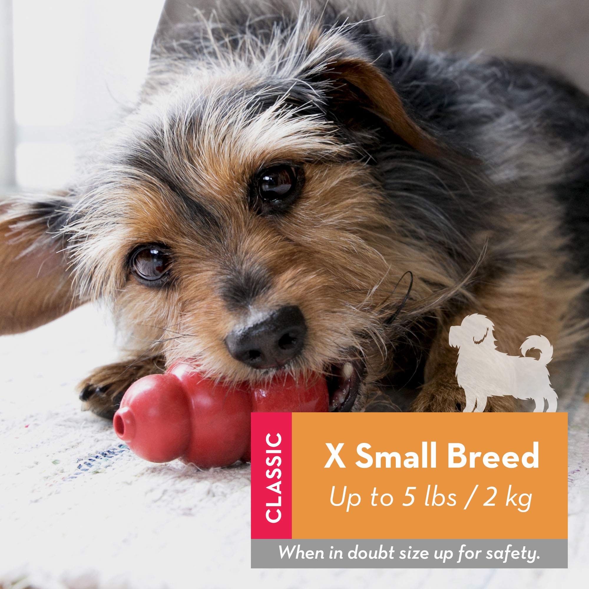 Kong Classic Stuffable Dog Toy - Fetch & Chew Toy For Dogs - Treat-Filling Capabilities & Erratic Bounce For Extended Play Time - Durable Natural Rubber Material - For Extra Small Dogs