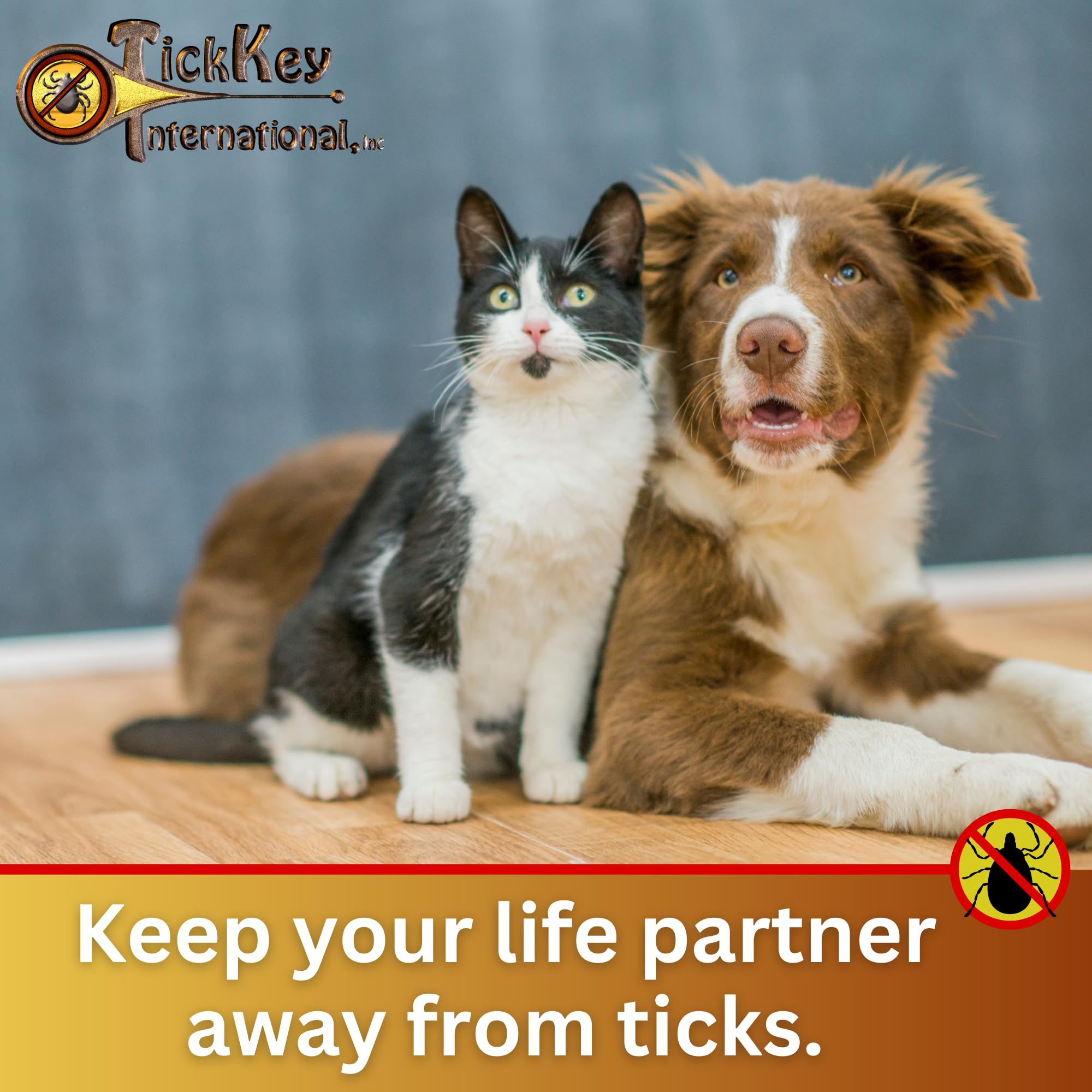 The Original Tick Key - Tick Detaching Device - Portable, Safe And Highly Effective Tick Detaching Tool (Silver)