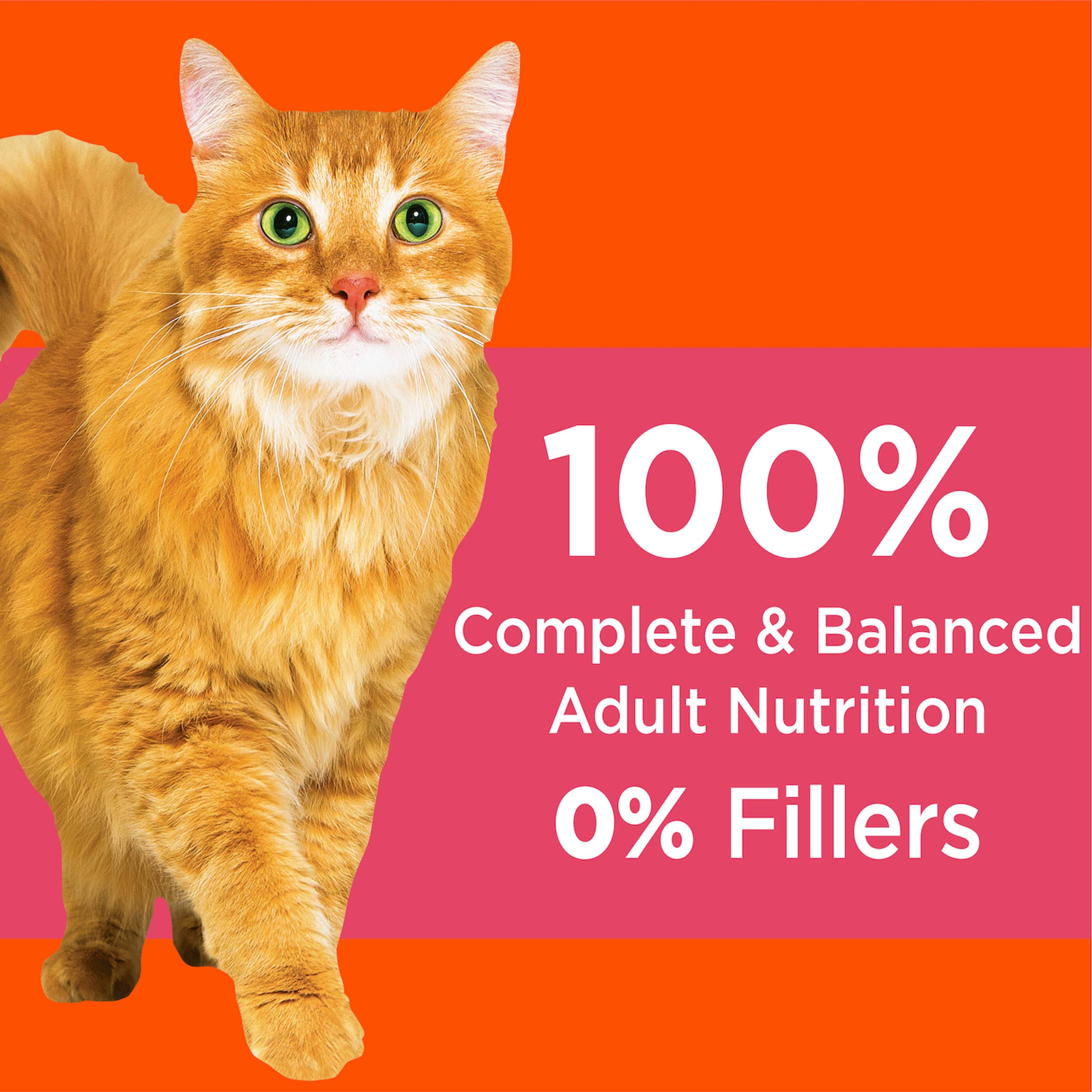 IAMS Proactive Health Adult Healthy Dry Cat Food with Salmon, 3.5 lb. Bag