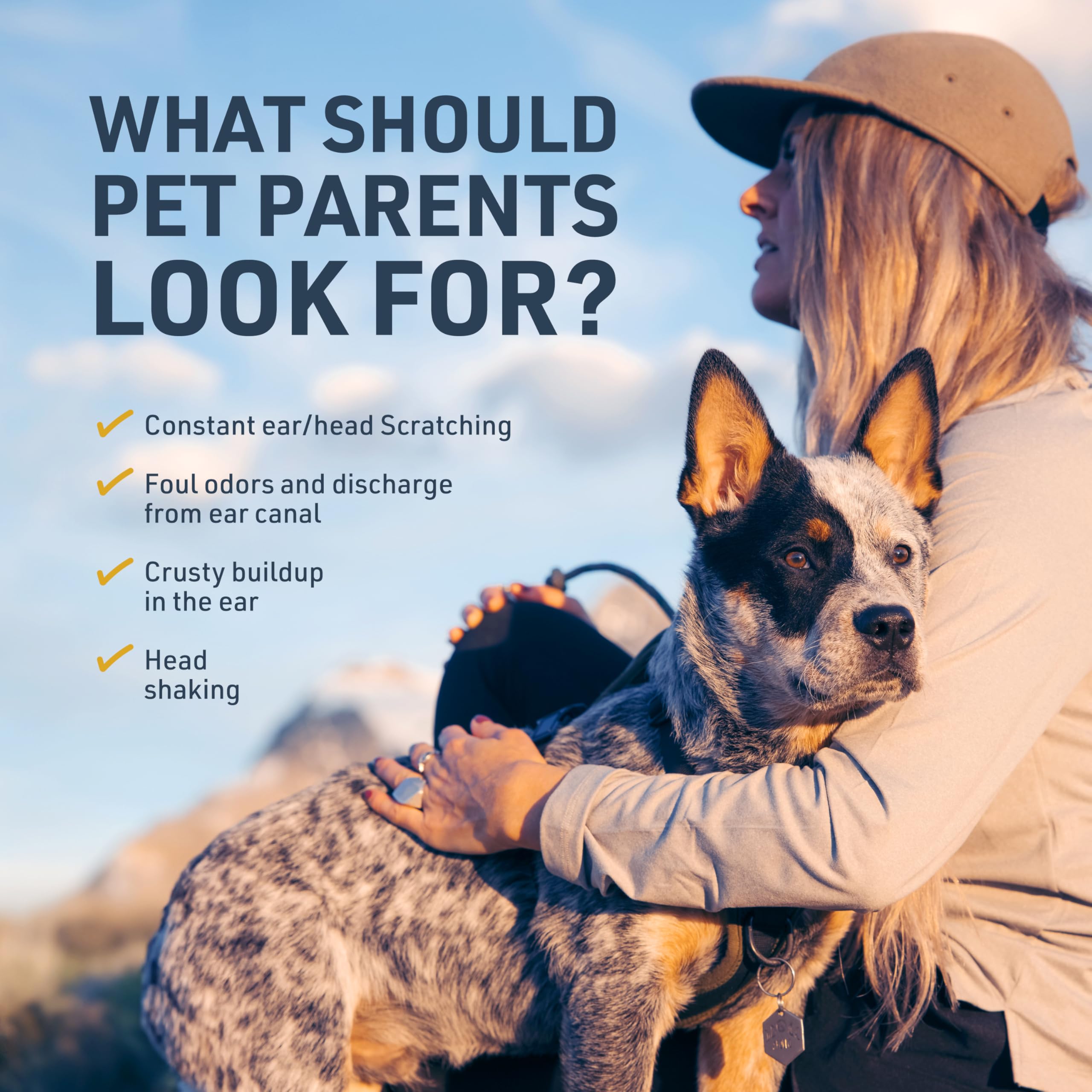 Veterinary Formula Ear Therapy for Cats & Dogs, 8 oz ·Soothes Itchiness & Cleans Ear Canal, Clear