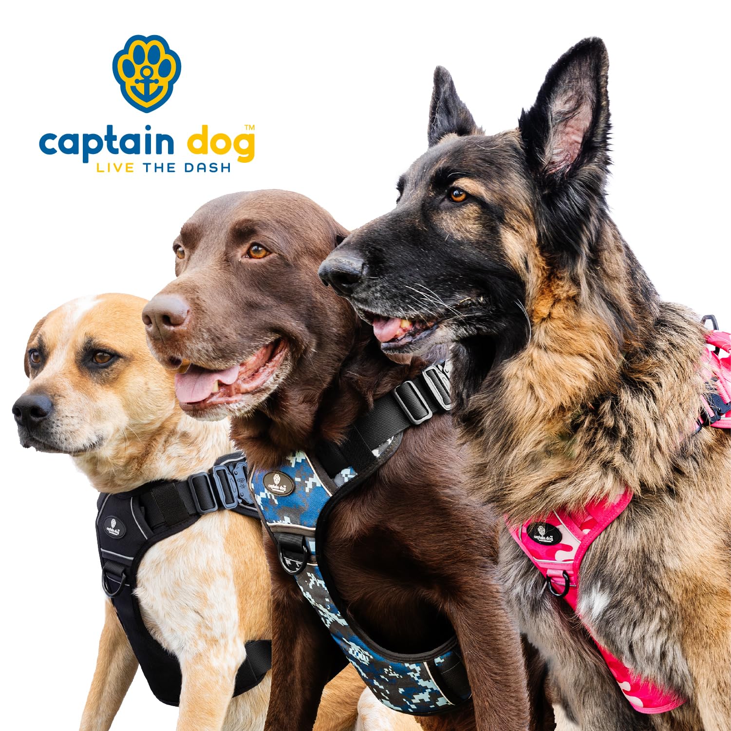 CAPTAIN DOG Harness Large Sized Dog with 4 Metal Buckles & Double Stitching - Reflective Strong Large Black, Heavy Duty Dog Vest