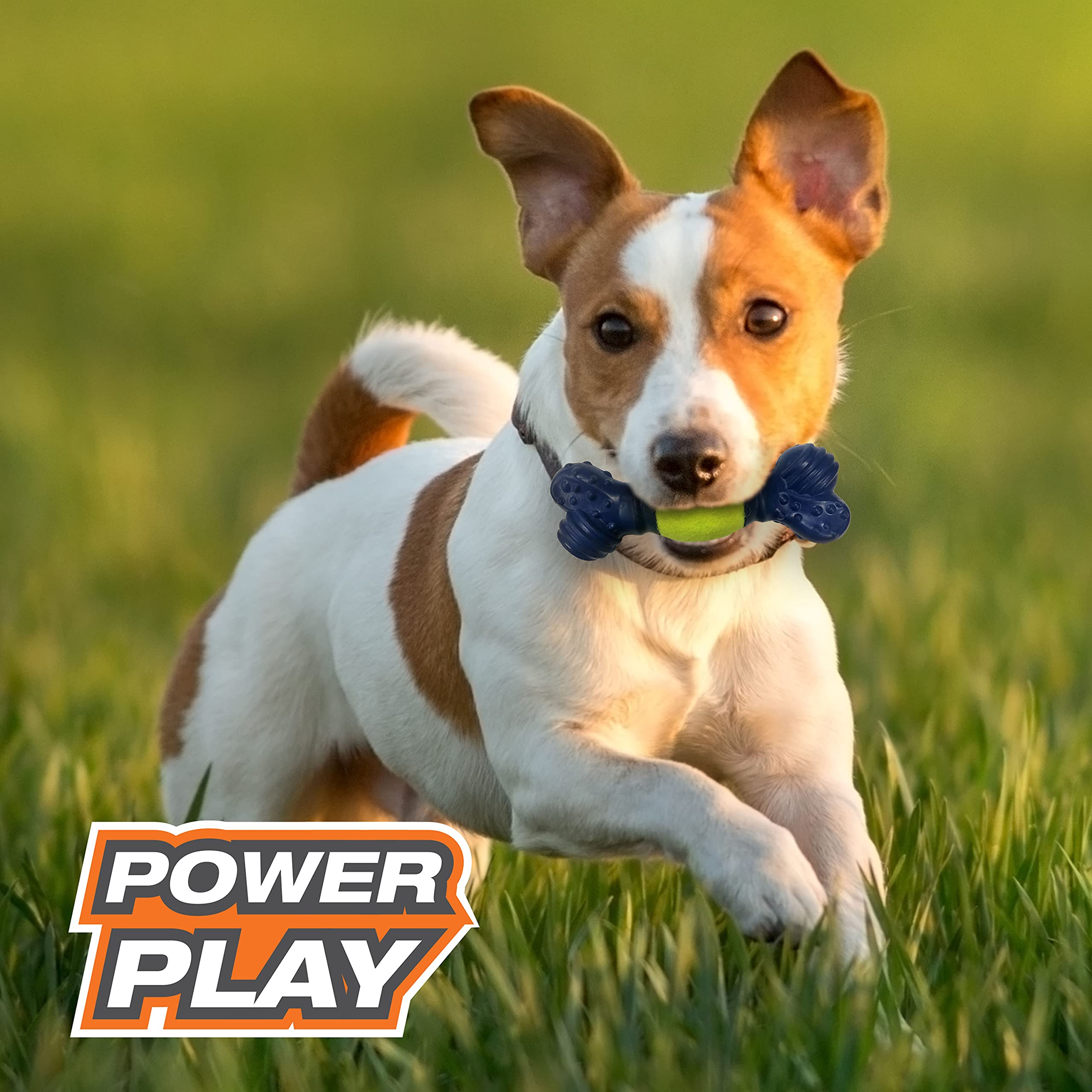 Nylabone Power Play Tennis Play 'N Fetch Interactive Dog Toy