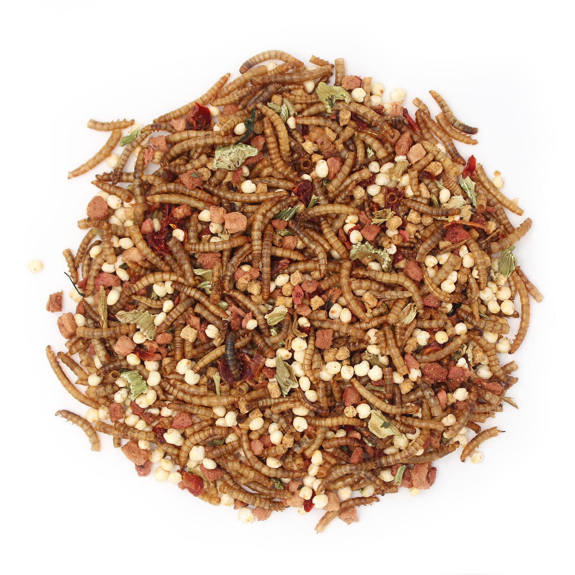 Sunseed Vita Prima Wigglers & Berries Hedgehog Treat - Mealworms for Hedgehogs - Small Animal Trail Mix Snack