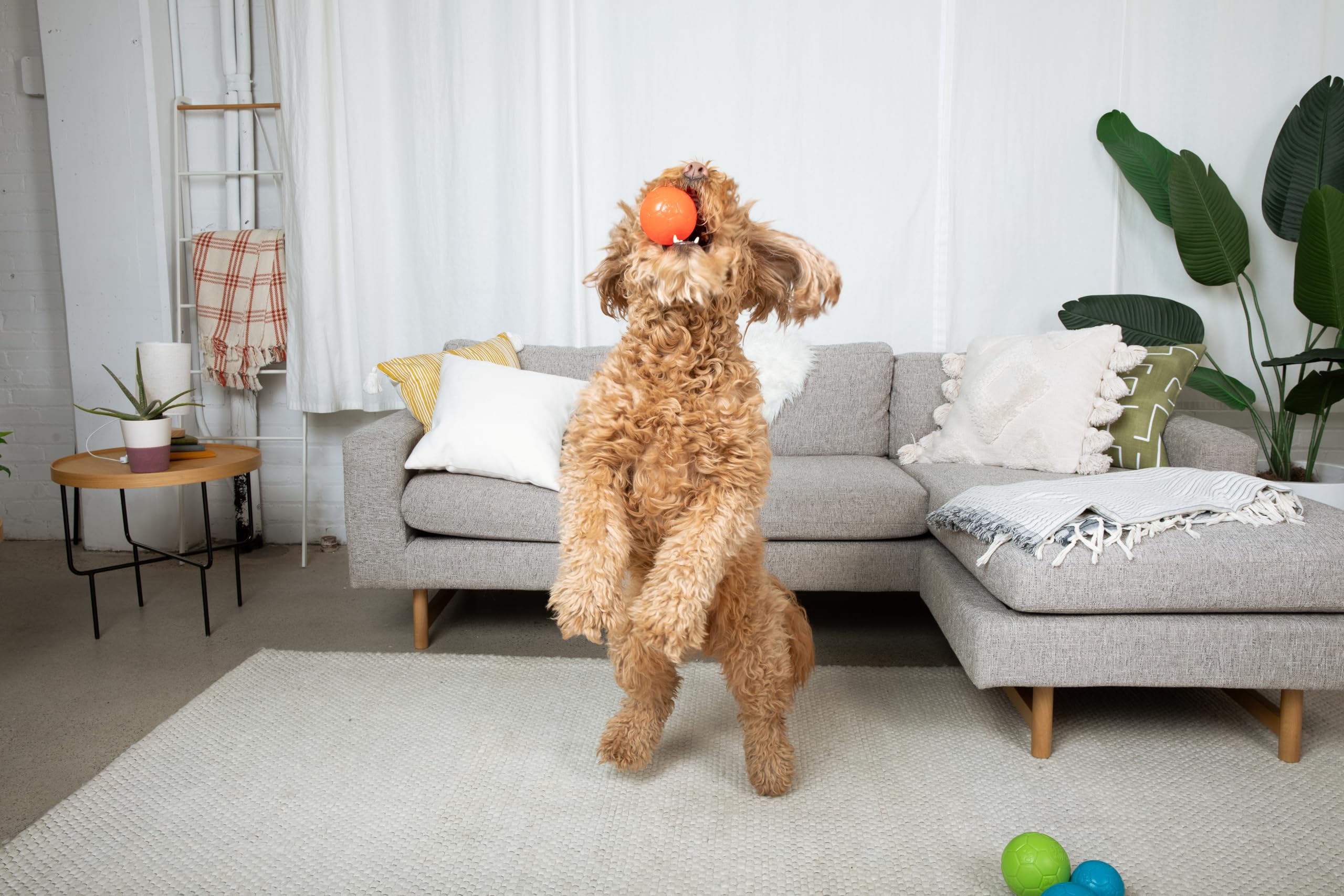 Jolly Pets Mini Jolly Soccer Ball; Floating-Bouncing Dog Toy; 3'' Orange