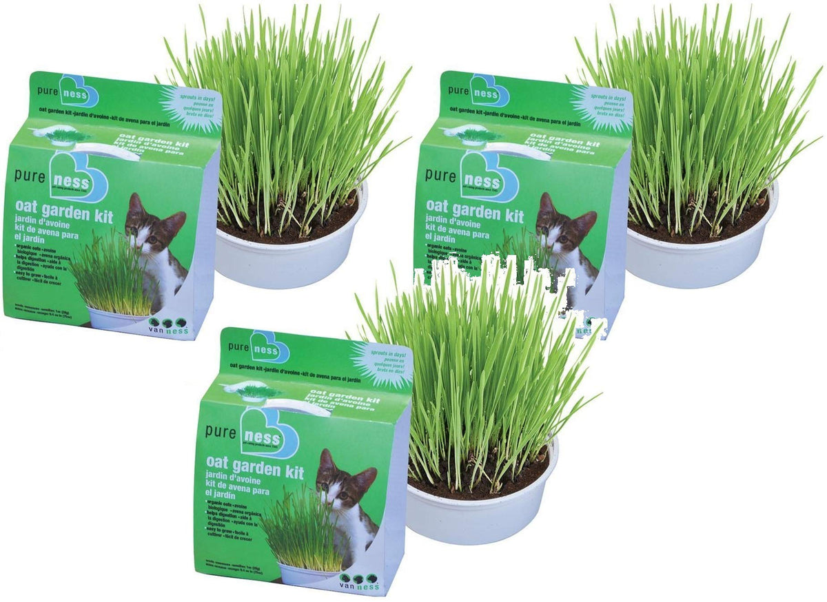 Van Ness Cat Oat Garden Kit (Set Of 3)