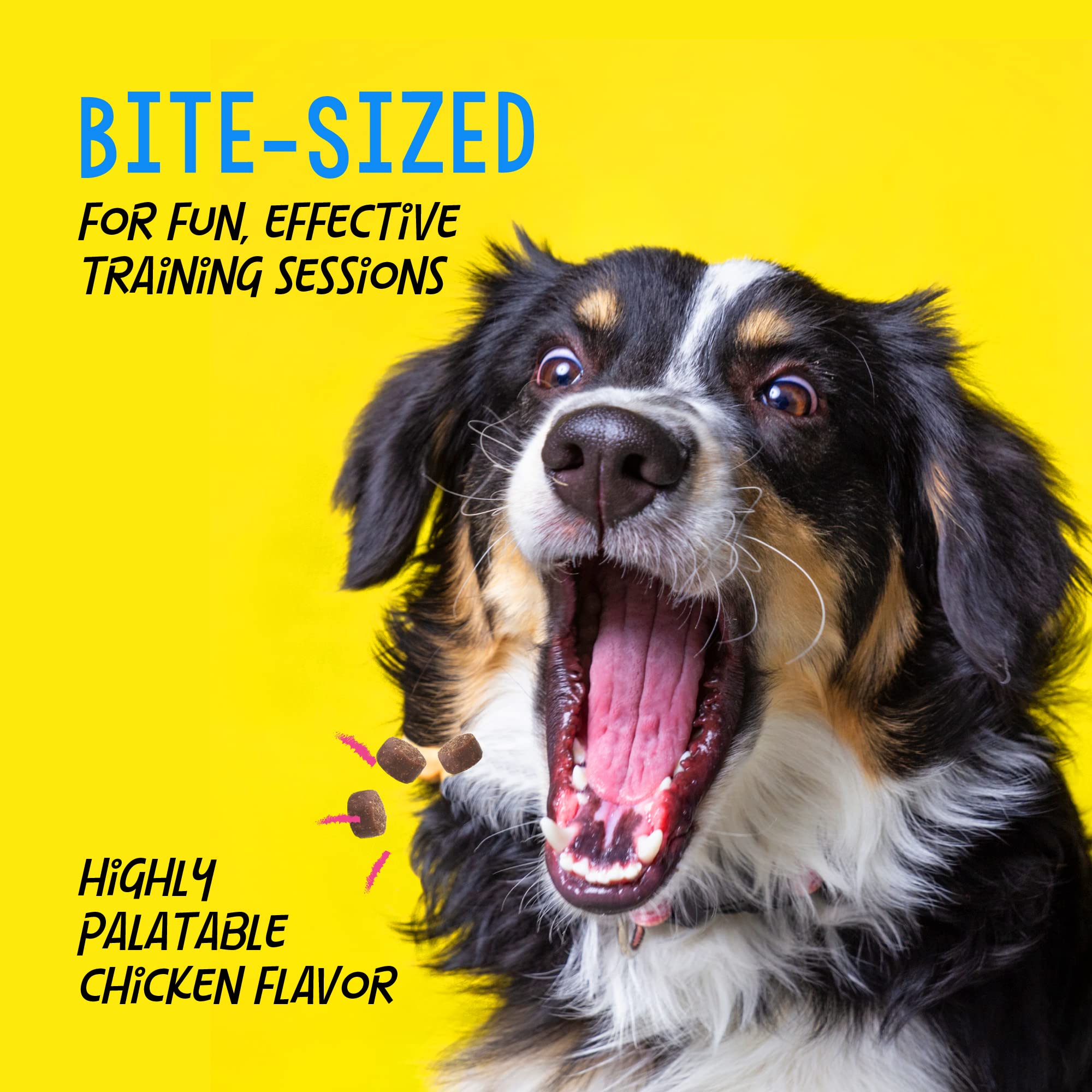 Crazy Dog Mini Train-Me! Training Treats 10 oz. Pouch, Chicken Flavor, with 500 Treats per Bag, Recommended by Dog Trainers