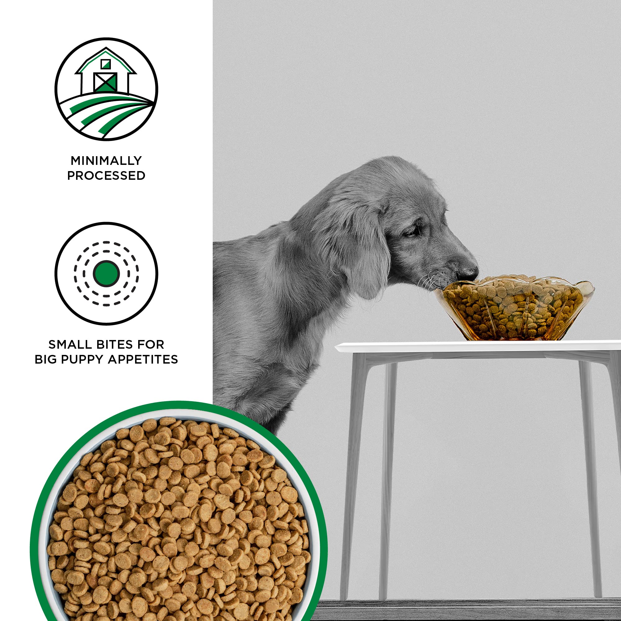 BIXBI Liberty Grain Free Dry Dog Food, Original Recipe Puppy, 11 lbs - Fresh Meat, No Meat Meal, No Fillers - Gently Steamed & C