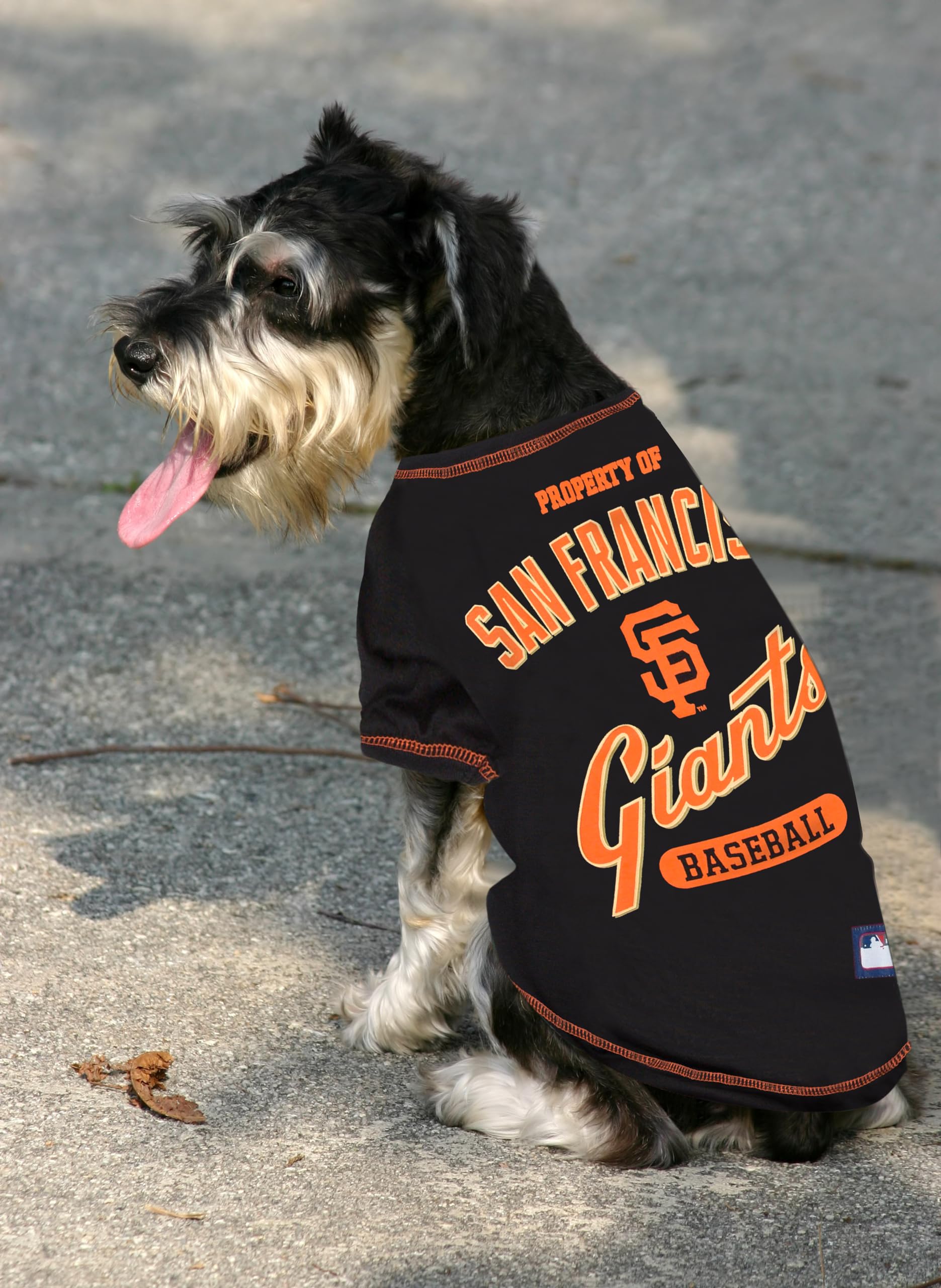 Mlb San Francisco Giants Dog T-Shirt, Medium. - Licensed Shirt For Pets Team Colored With Team Logos. - Premium Stretchable Mate