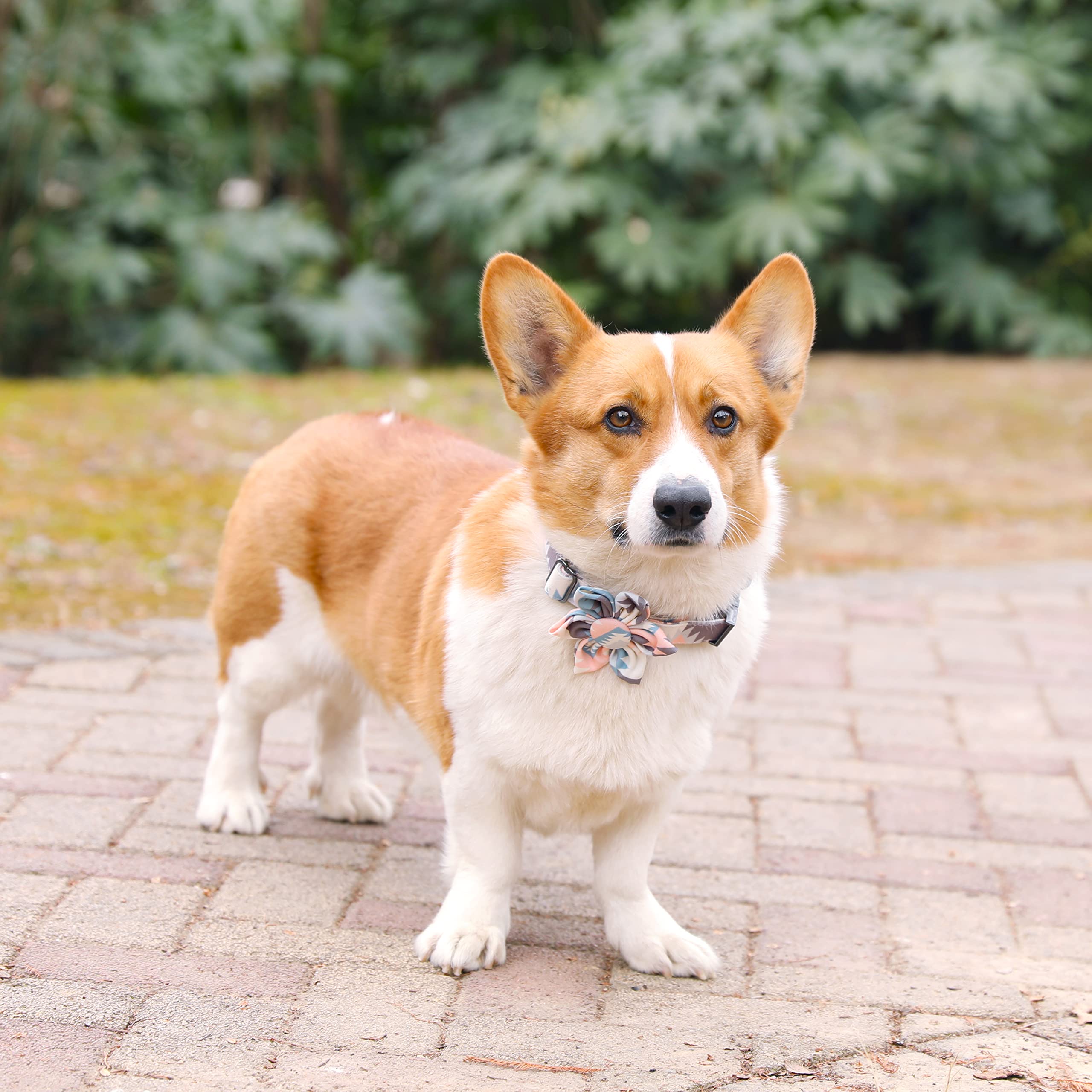 Ultra Joys Girl Dog Collars With Flower - Female Dog Collars With Comfortable Cotton Fabric In & Metal Buckle Boho Aztec Design