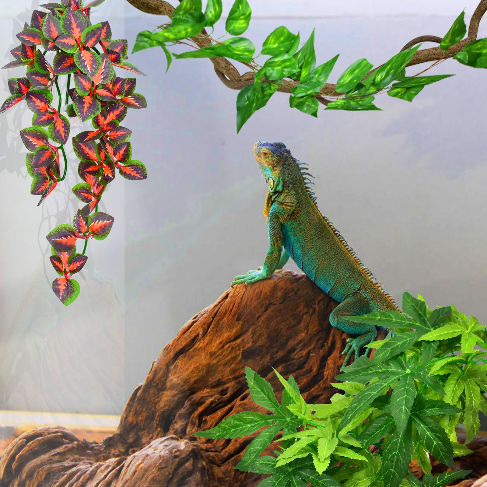 Katumo Reptile Plants, Amphibian Hanging Plants With Suction Cup For Snake, Bearded Dragons, Lizards, Geckos, Toads, Hermit Crab Tank Pets Habitat Decorations