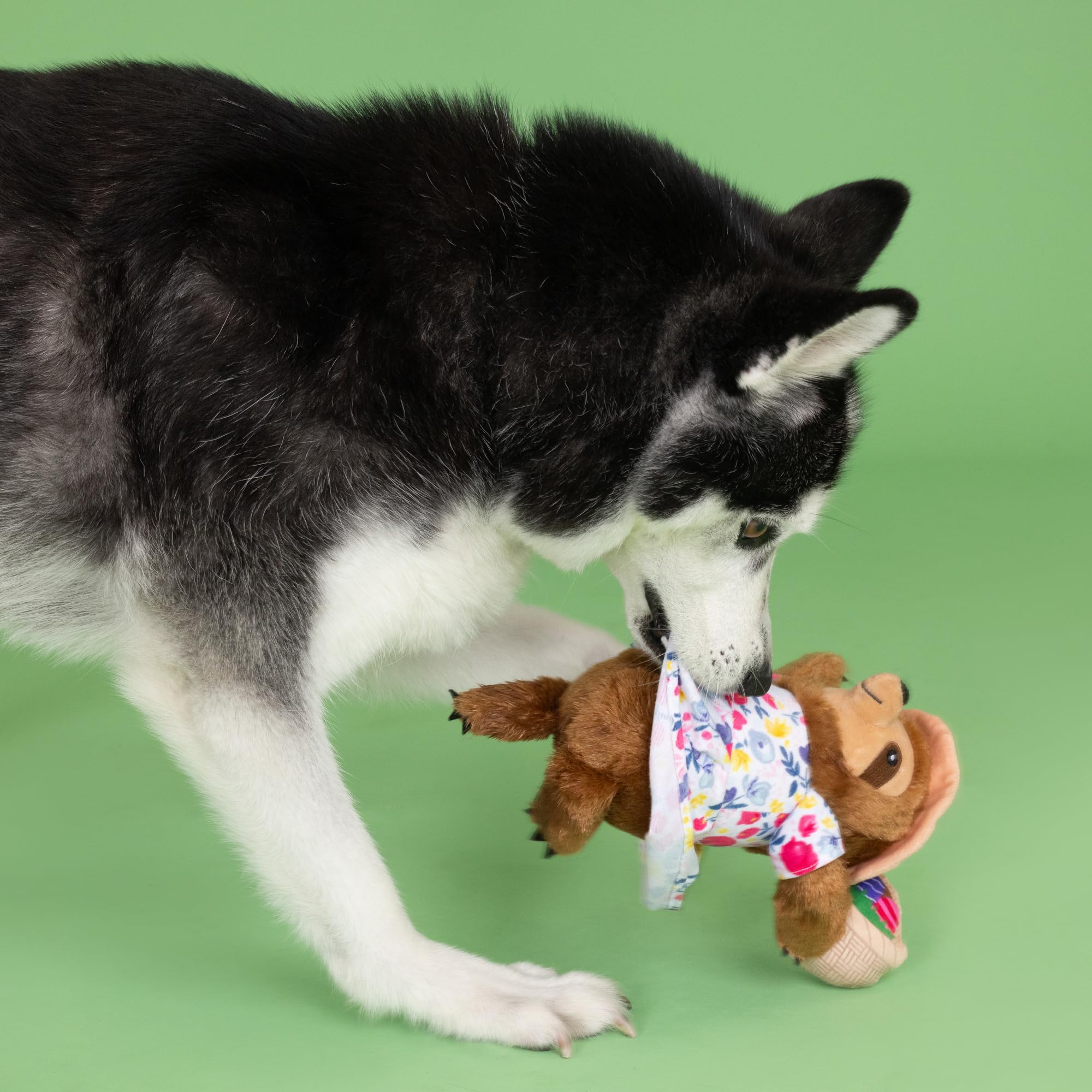 Fringe Studio Plush Dog Toy, SundayS Best, Petshop Collection (314317)
