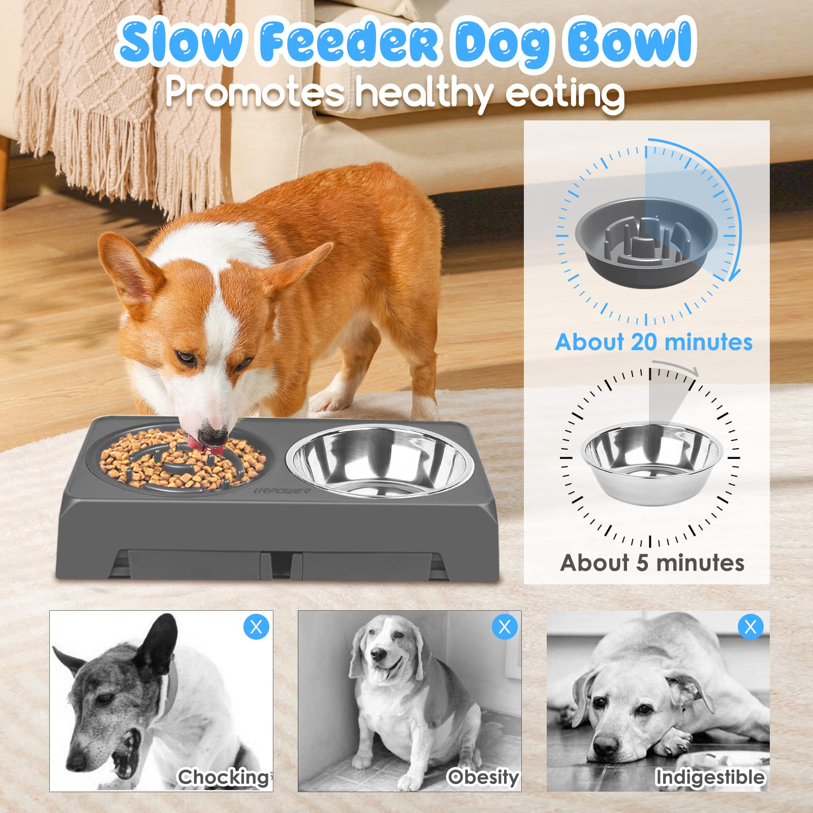 URPOWER Raised Slow Feeder Dog Bowls 4 Height Adjustable Elevated Dog Bowls with Stainless Steel Dog Water Bowl and Dog Slow Fee