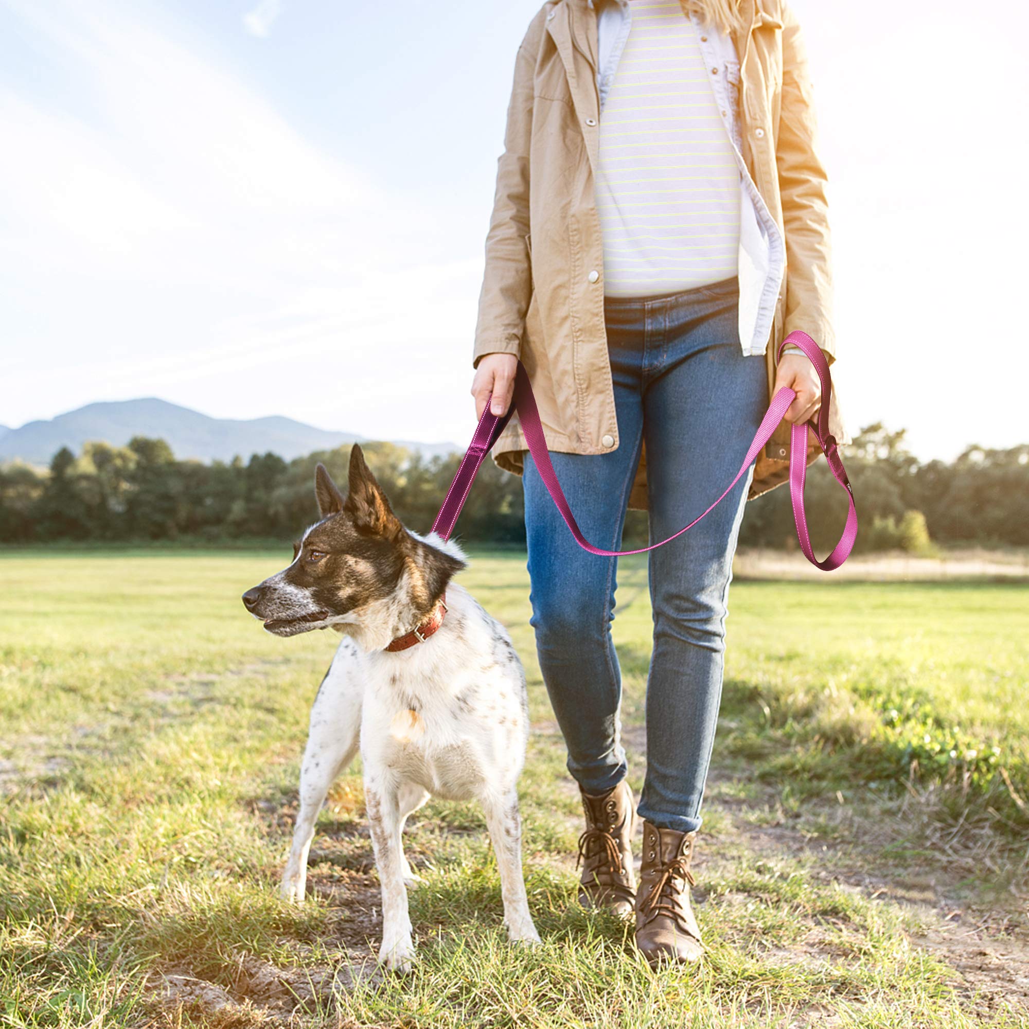 TwoEar Dog Leash - 4FT 1IN Nylon Rose with 2 Padded Handles & Reflective Auto Lock Hook for Small, Medium, and Large Dogs
