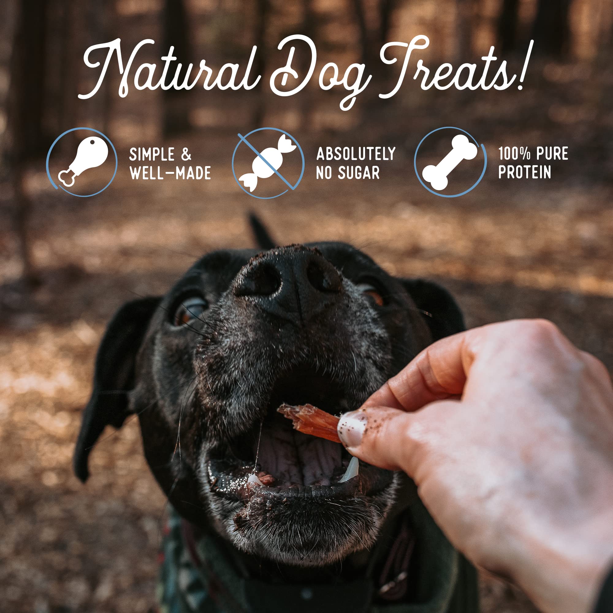 Beg & Barker Turkey Jerky Strips for Dogs (10 Ounce, Pack of 1) - Dog Training Treats - Natural Dog Treats Made in The USA - Gra