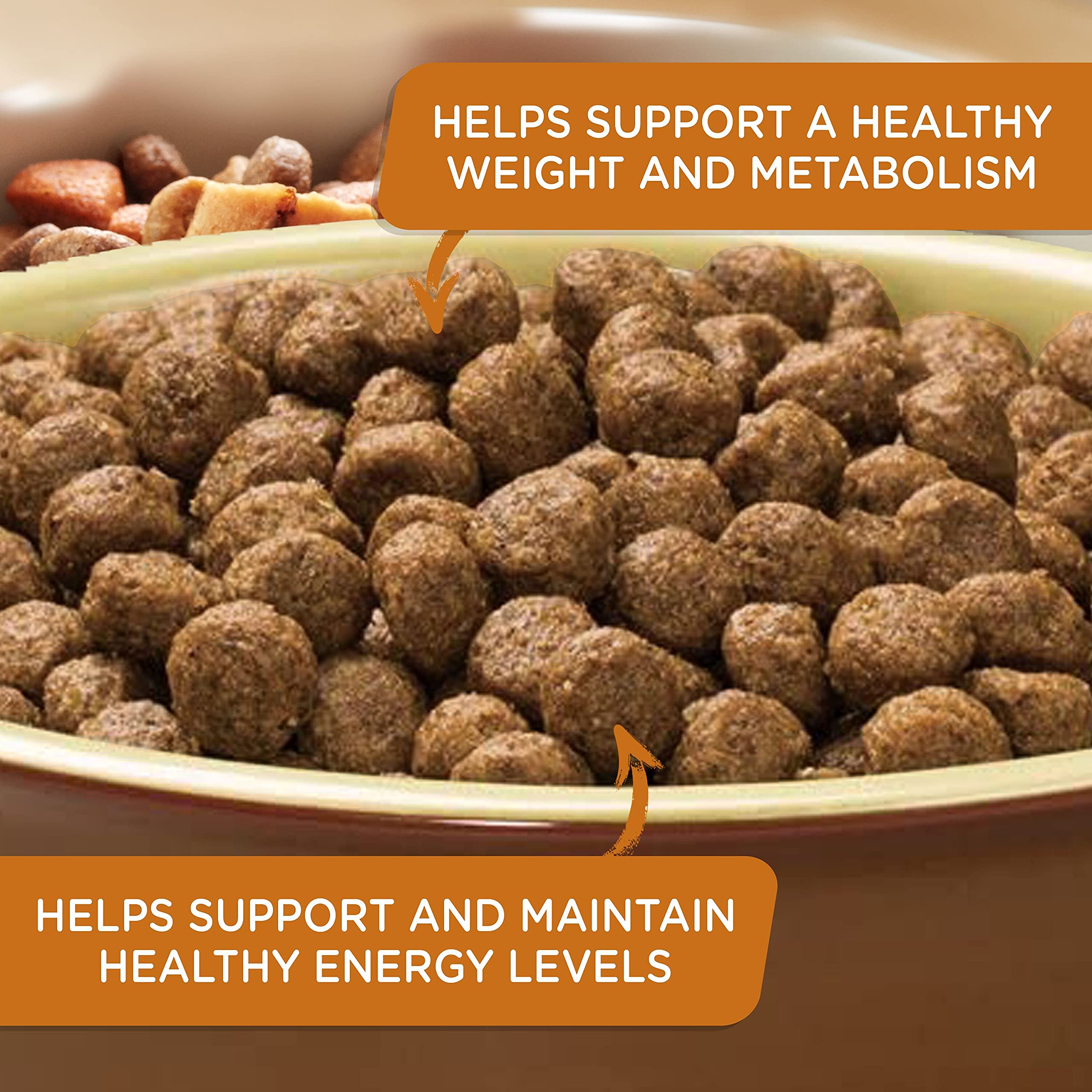 Nutrish Healthy Weight Real Turkey, Brown Rice & Venison Recipe Dry Dog Food, 5.5 lb. Bag, Packaging May Vary (Rachael Ray)