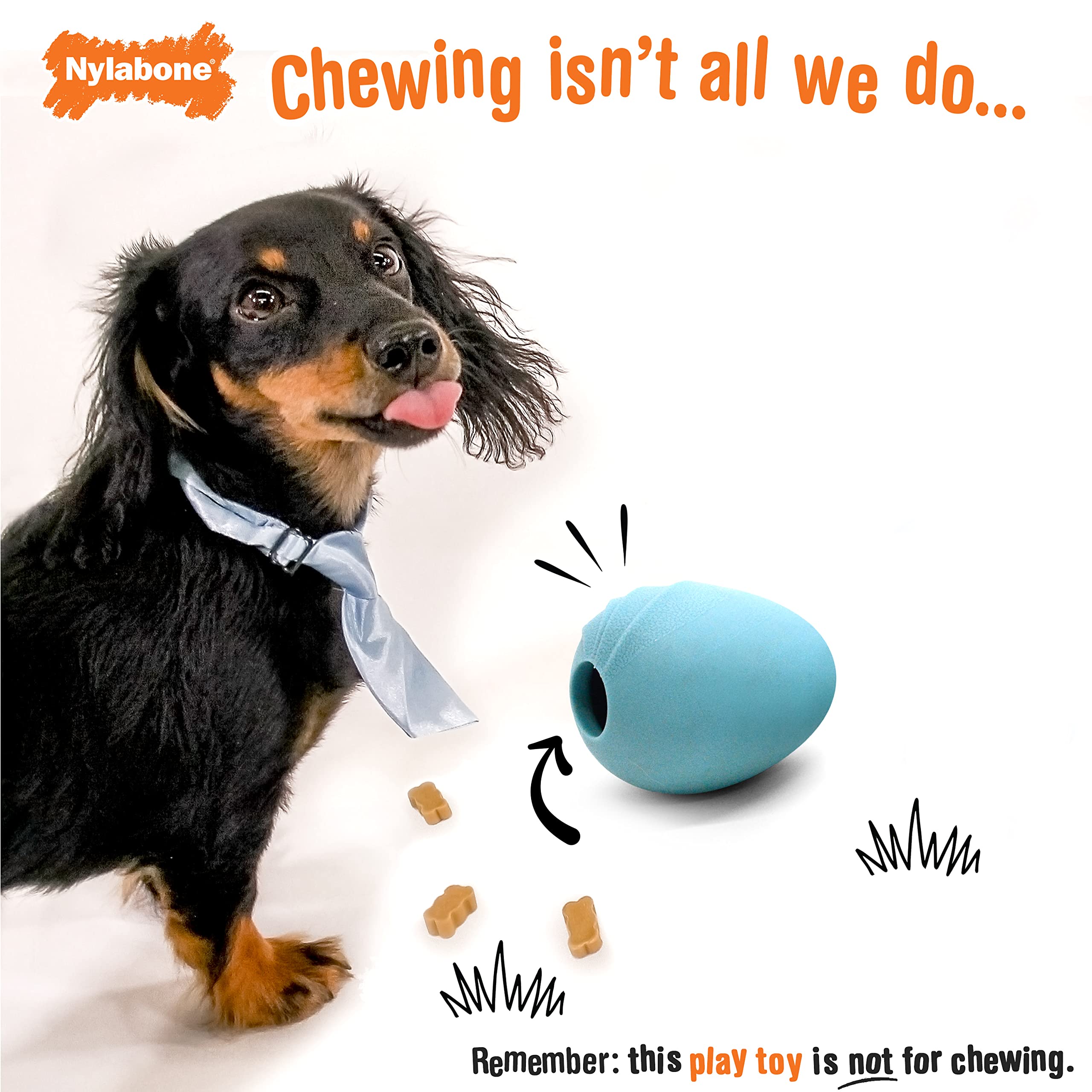 Nylabone Eggi Interactive Fillable Dog Chew Toy - Lightweight Bouncy Floatable Dog Treat Toy for Creative Play & Dog Exercise, B