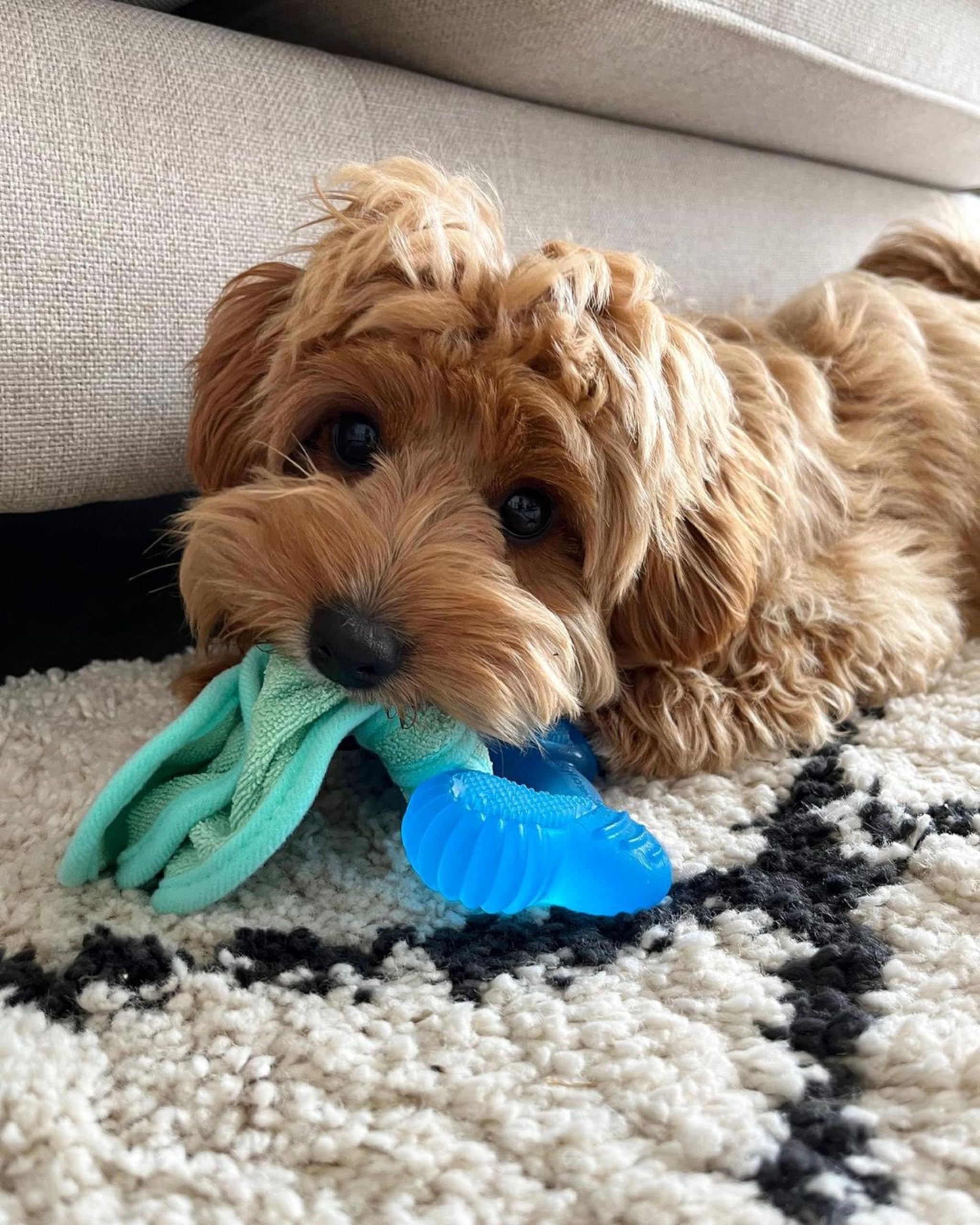 Nylabone Freezer Bone Puppy Chew Toy, Soothing Teething Toys For Puppies, Rubber & Terry Cloth, Peanut Butter Flavor, Small - Up To 25 Lbs, 1 Count