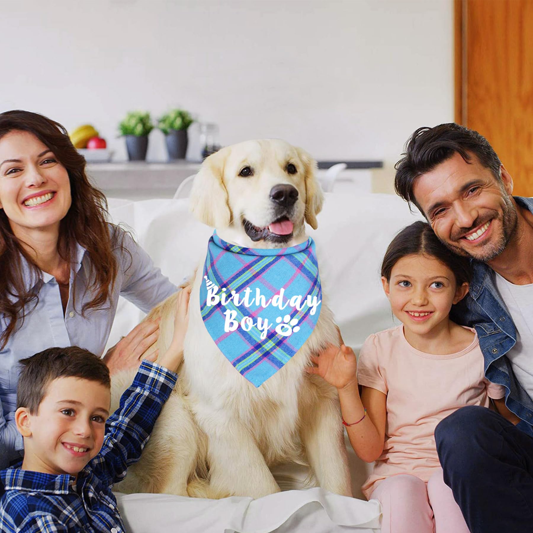 Jotfa Dog Birthday Bandana, Multi Sizes Birthday Bandana For Dogs Dog Birthday Boy Bandana For Large Extra Large Dogs Pets (Ligh