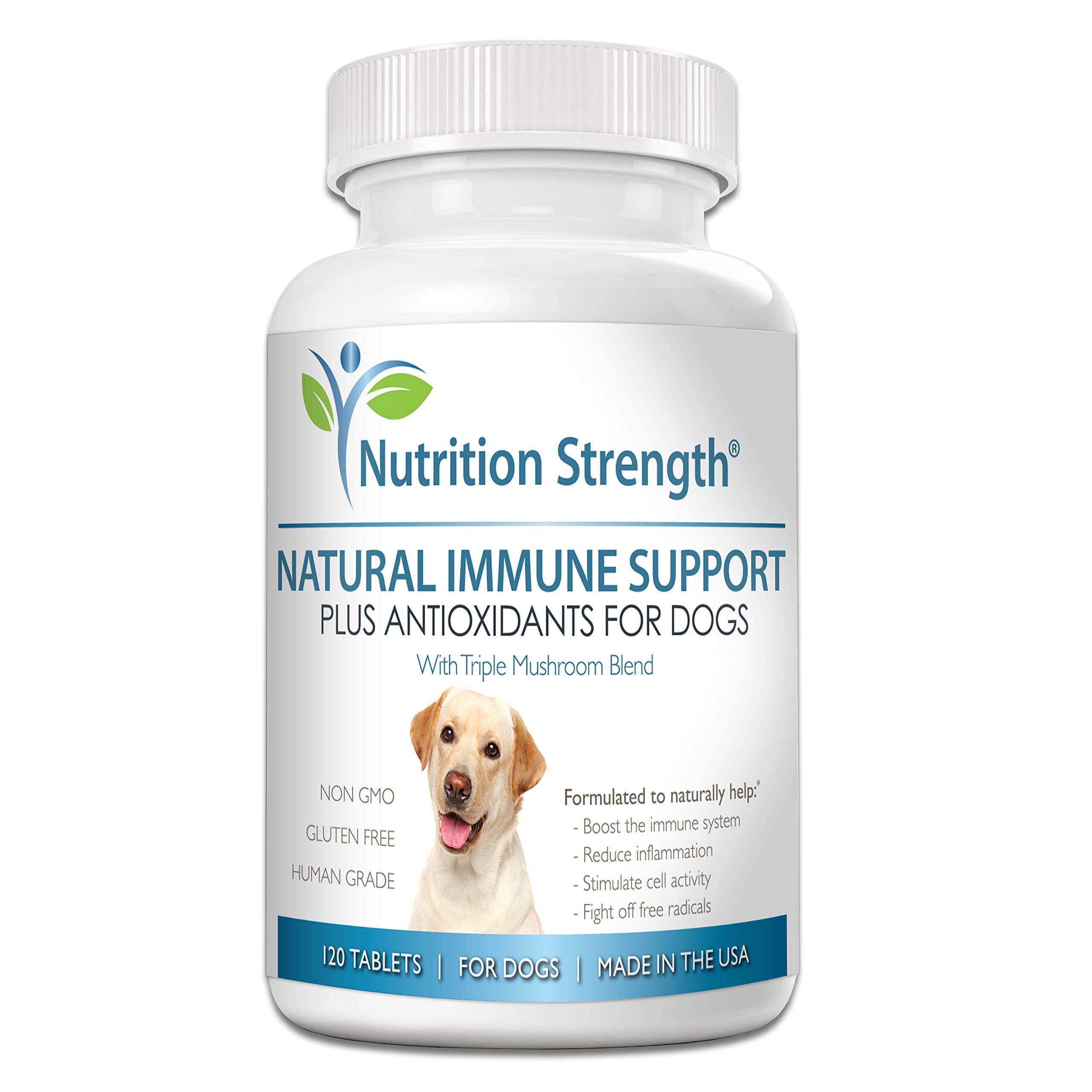 Nutrition Strength Immune Support for Dogs - Turkey Tail, Reishi, Shiitake & Maitake Mushroom Complex - Senior Dog Health, Antio