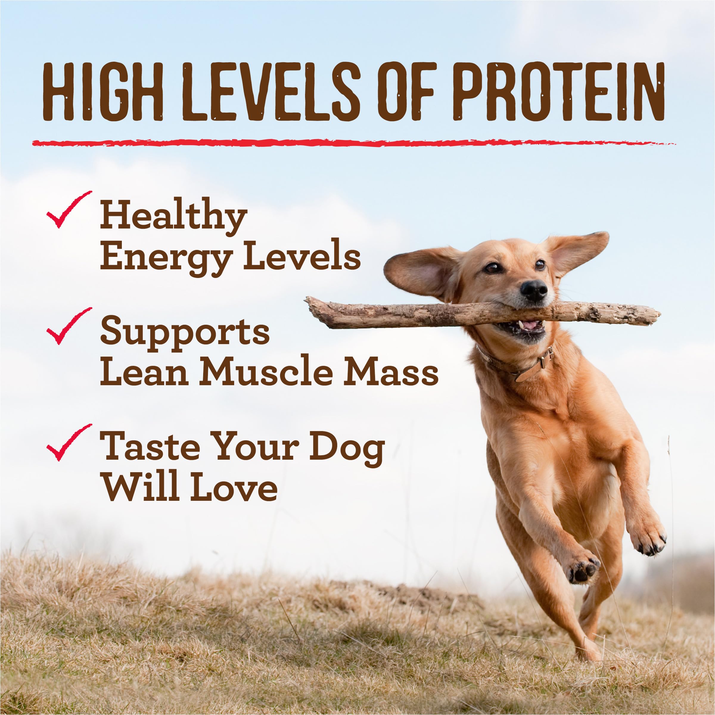 Merrick Grain Free Wet Dog Food, Premium Soft and Wholesome Canned Adult Dog Food, Wilderness Blend Recipe - (Pack of 12) 12.7 o