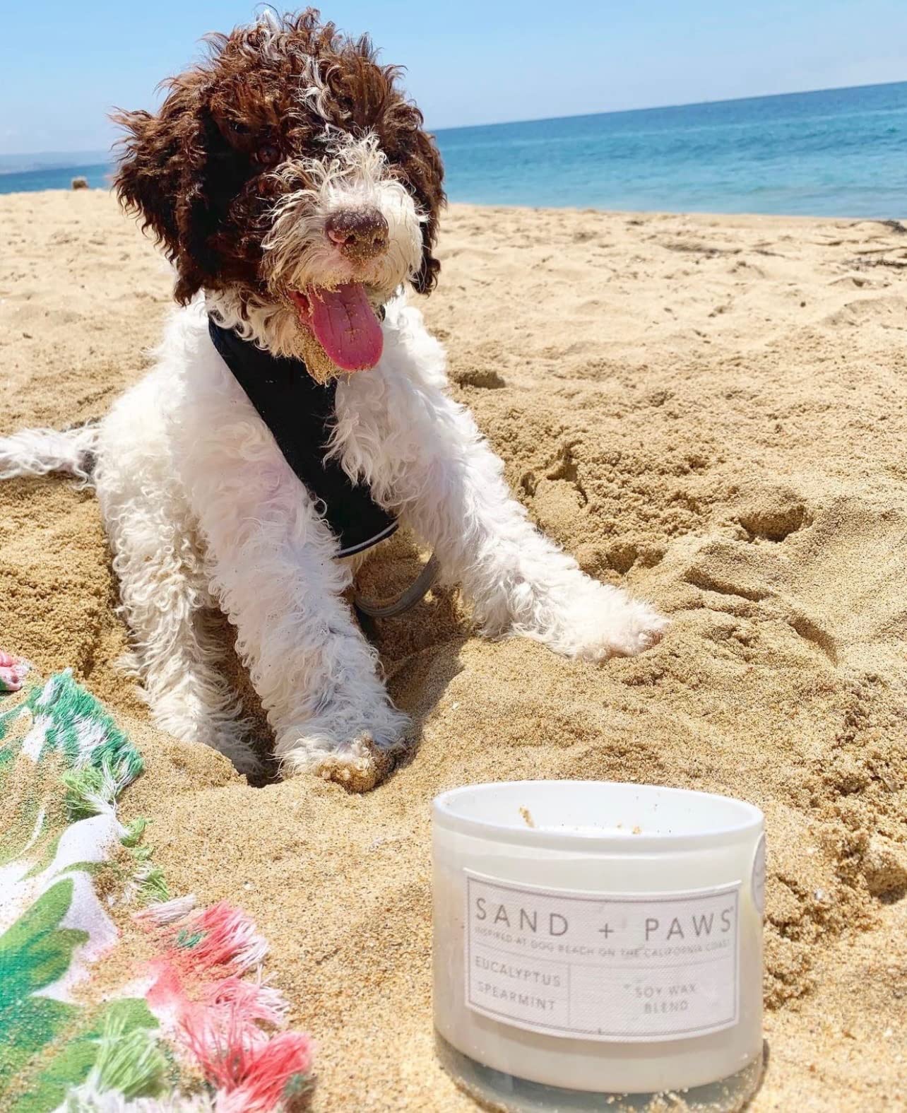 Sand + Paws Scented Candle - Teakwood - Additional Scents And Sizes –Luxurious Air Freshening Jar Candles Neutralize Pet Odors And Enhance Home Décor – 100% Cotton Lead-Free Wicks - 21 Oz