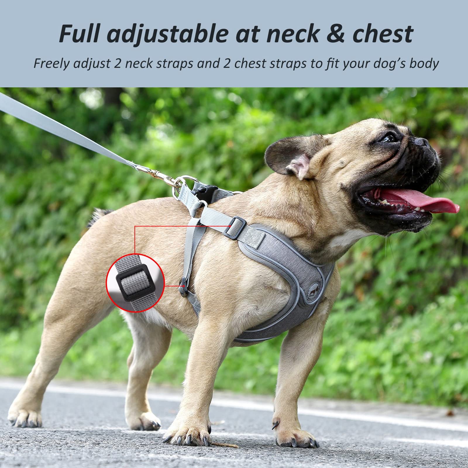 Dog Harness With Leash Set, No Pull Adjustable Step In Dog Collars Harness With Breathable Padded Vest Harness For Small Medium