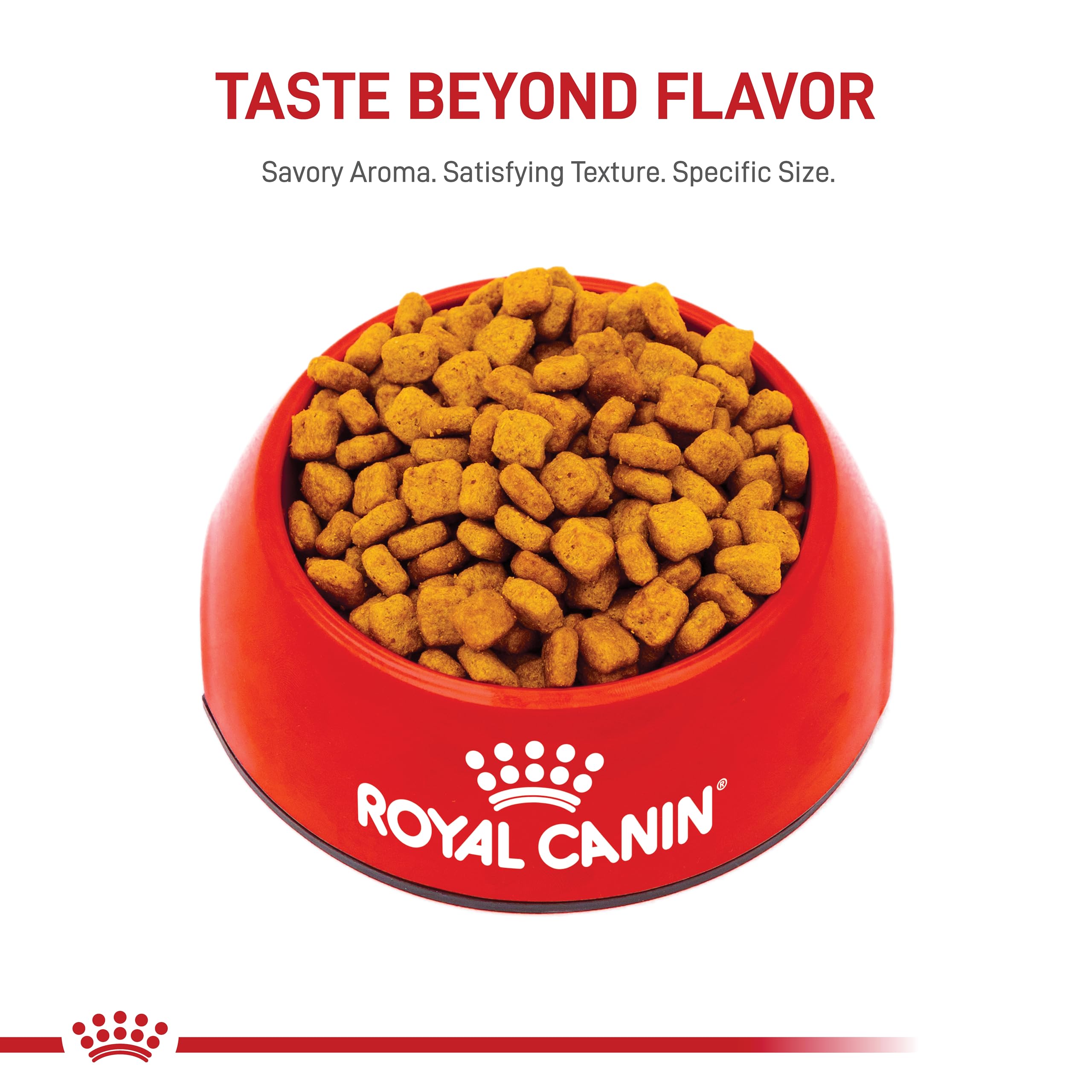 Royal Canin Dachshund Adult Breed Specific Dry Dog Food, 10 Lb bag