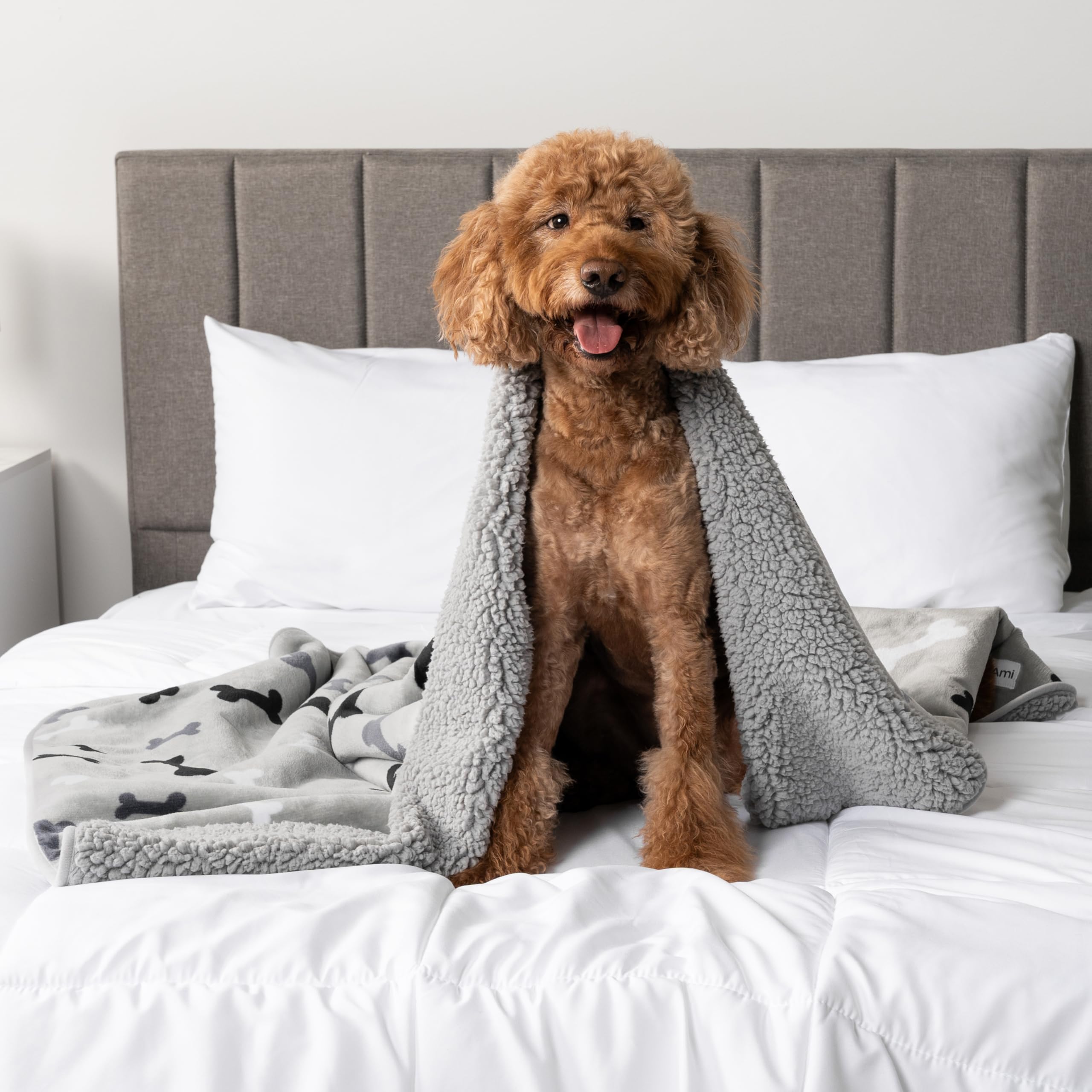 Petami Waterproof Dog Blanket For Medium Large Dogs, Pee Proof Pet Blanket For Bed Couch, Reversible Water Proof Blanket For Puppy Indoor Cat, Soft Dog Pee Crate Cover Washable, 60X80 Bone Gray